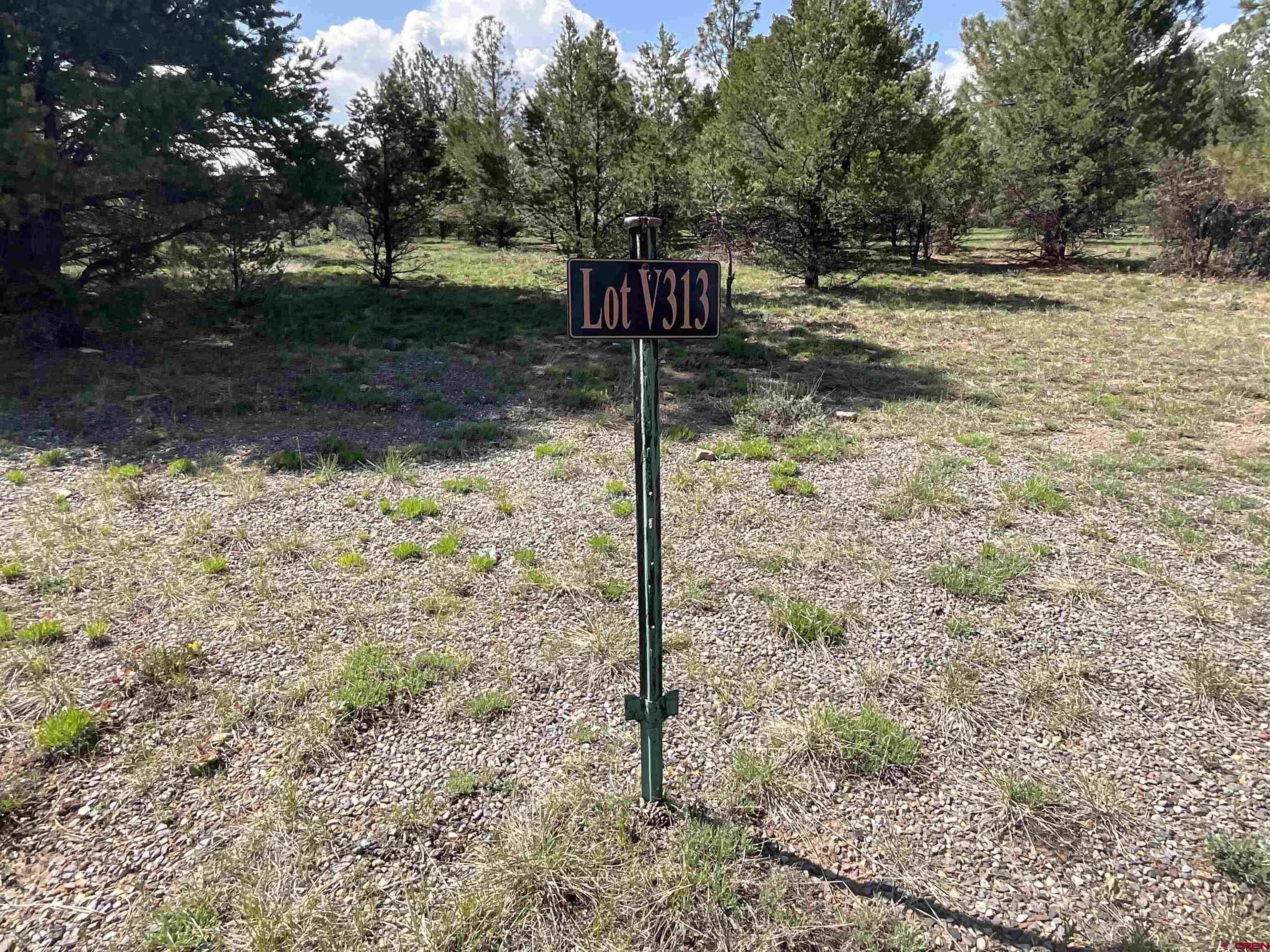 Build your dream home at Fairway Pines Divide Ranch and Club. The Golf Course will amaze you with some of the most breathtaking views in Southwest Colorado. The community rests at about 8000 feet in elevation. Ponderosa Pine, Juniper, and Pinion surround this property to give you shade and privacy. Just a 10 Minute drive to downtown Ridgway and 30 minutes to Montrose. Do not hesitate, now is the time.