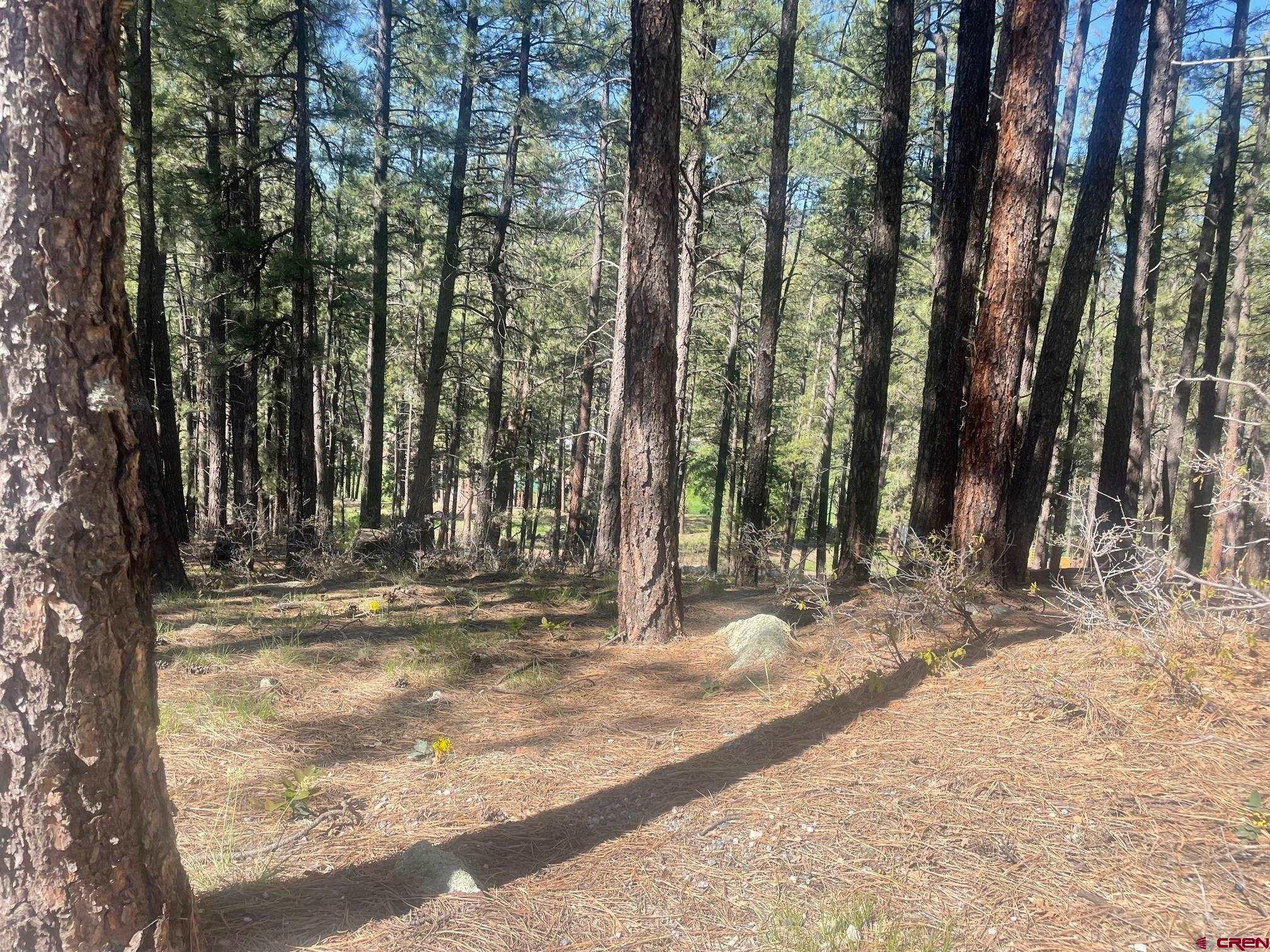 tbd Pine Top Drive