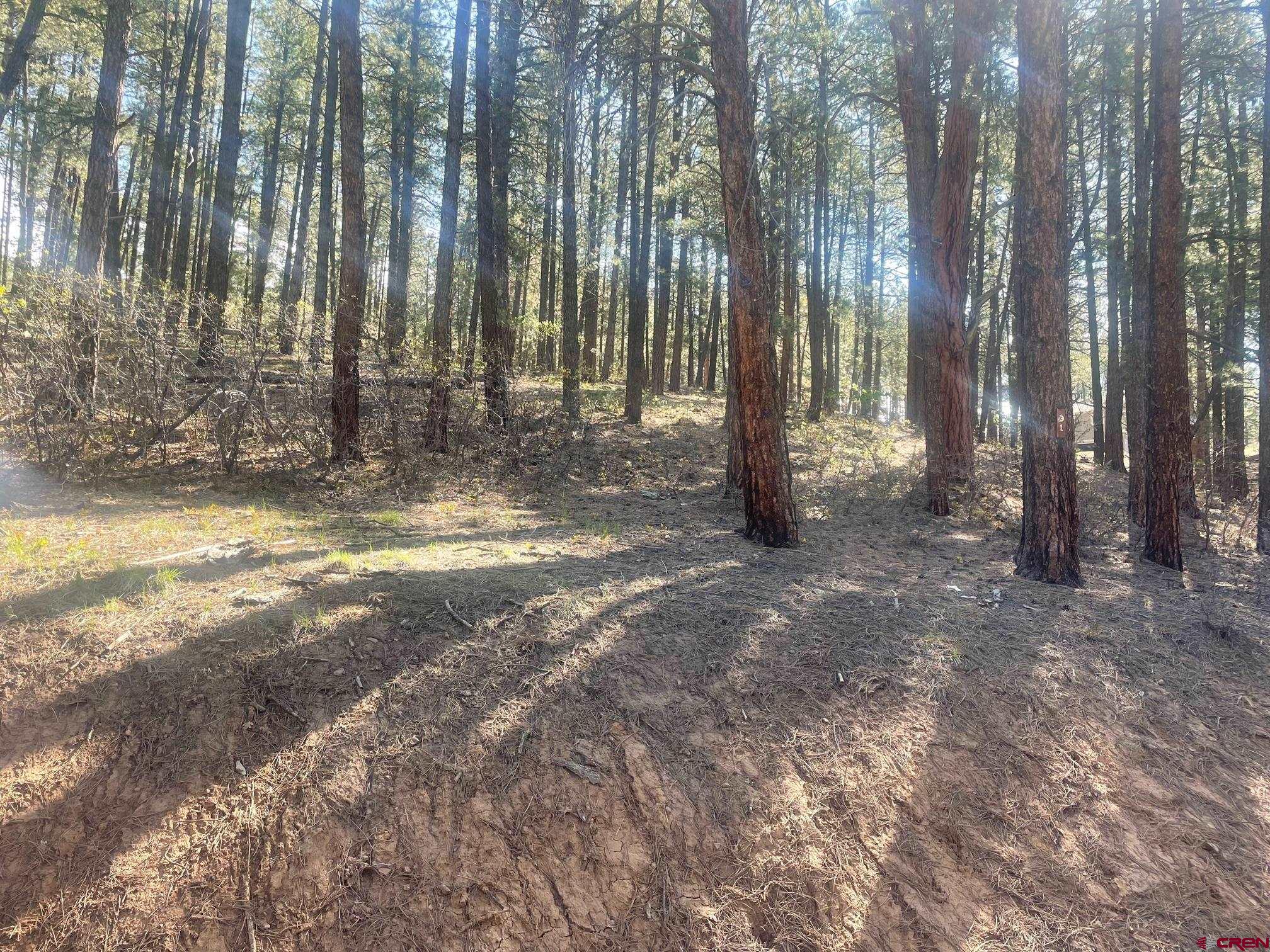 tbd Pine Top Drive