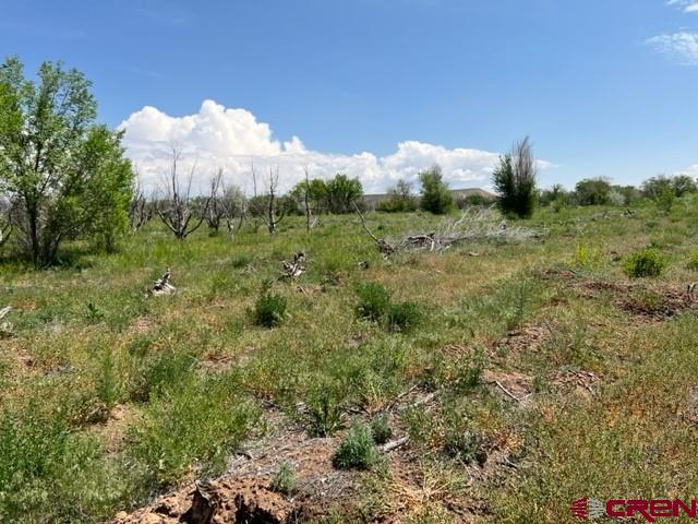 Property is currently an older Orchard on 7.42 acres, some trees have been removed.  Come take a look at this prime location with Highway 65 frontage.  Build your new home, hobby farm or mini-ranch with plenty of room for critters and outbuildings.  Irrigation is from Leon Reservoir - Shares are being verified by the listing agent.