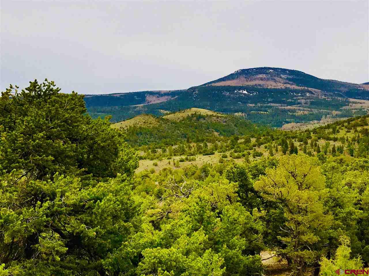 Photo of Tbd Pinon Hills Rd in South Fork, CO