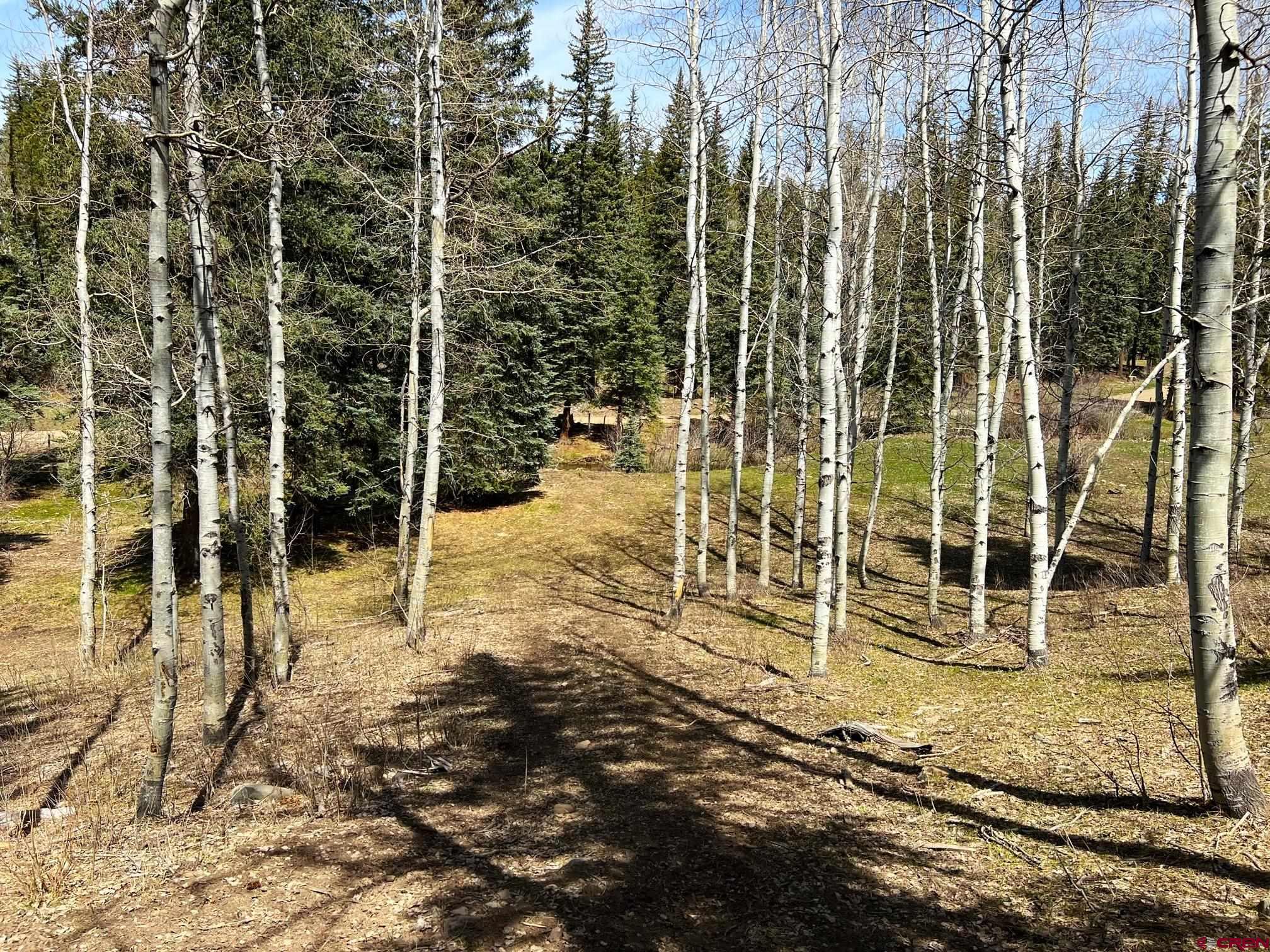 2345 Needles View Place, Pagosa Springs, CO 81147 Listing Photo  9