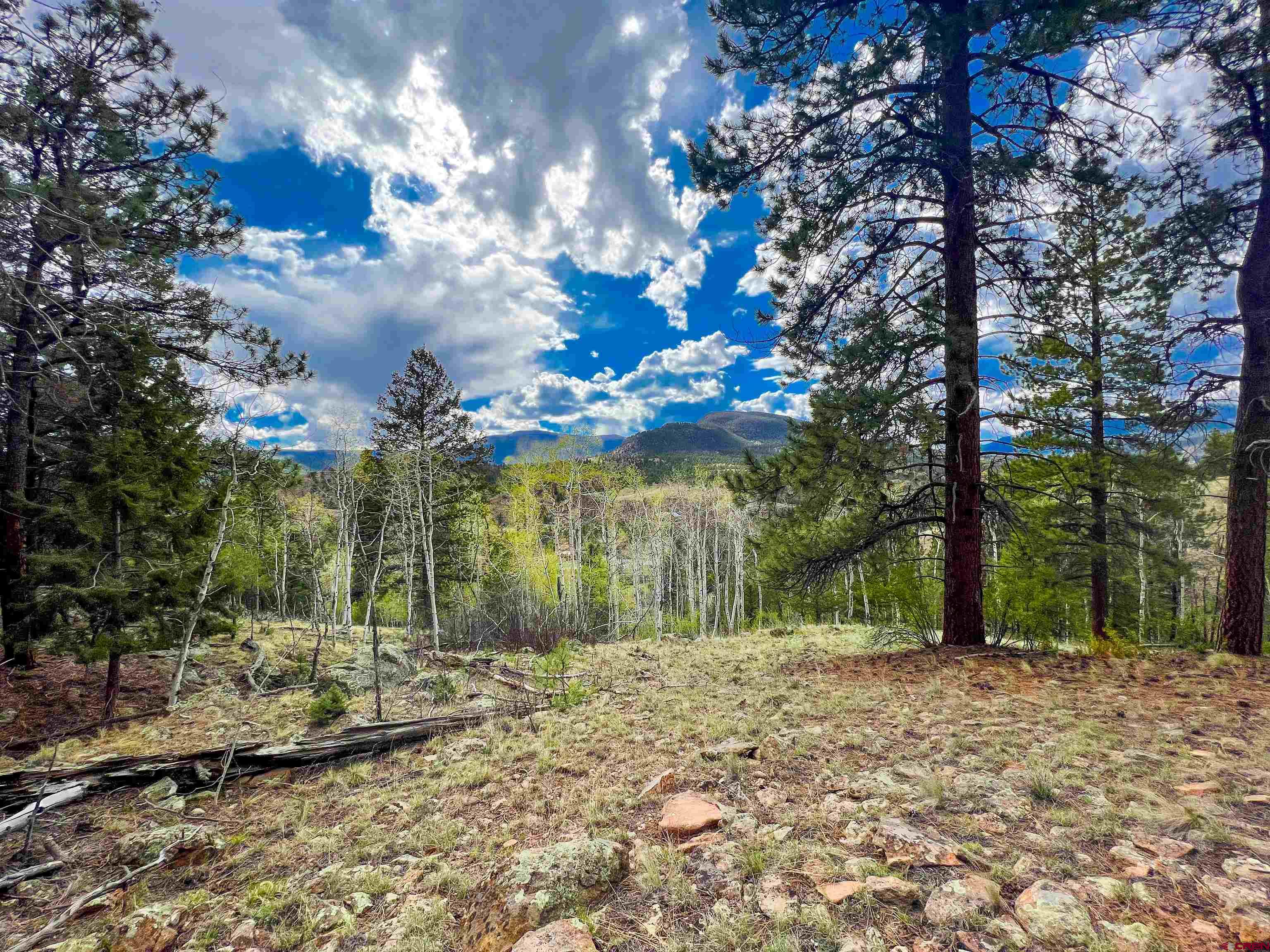 Photo of 331 N Skyline Dr in South Fork, CO