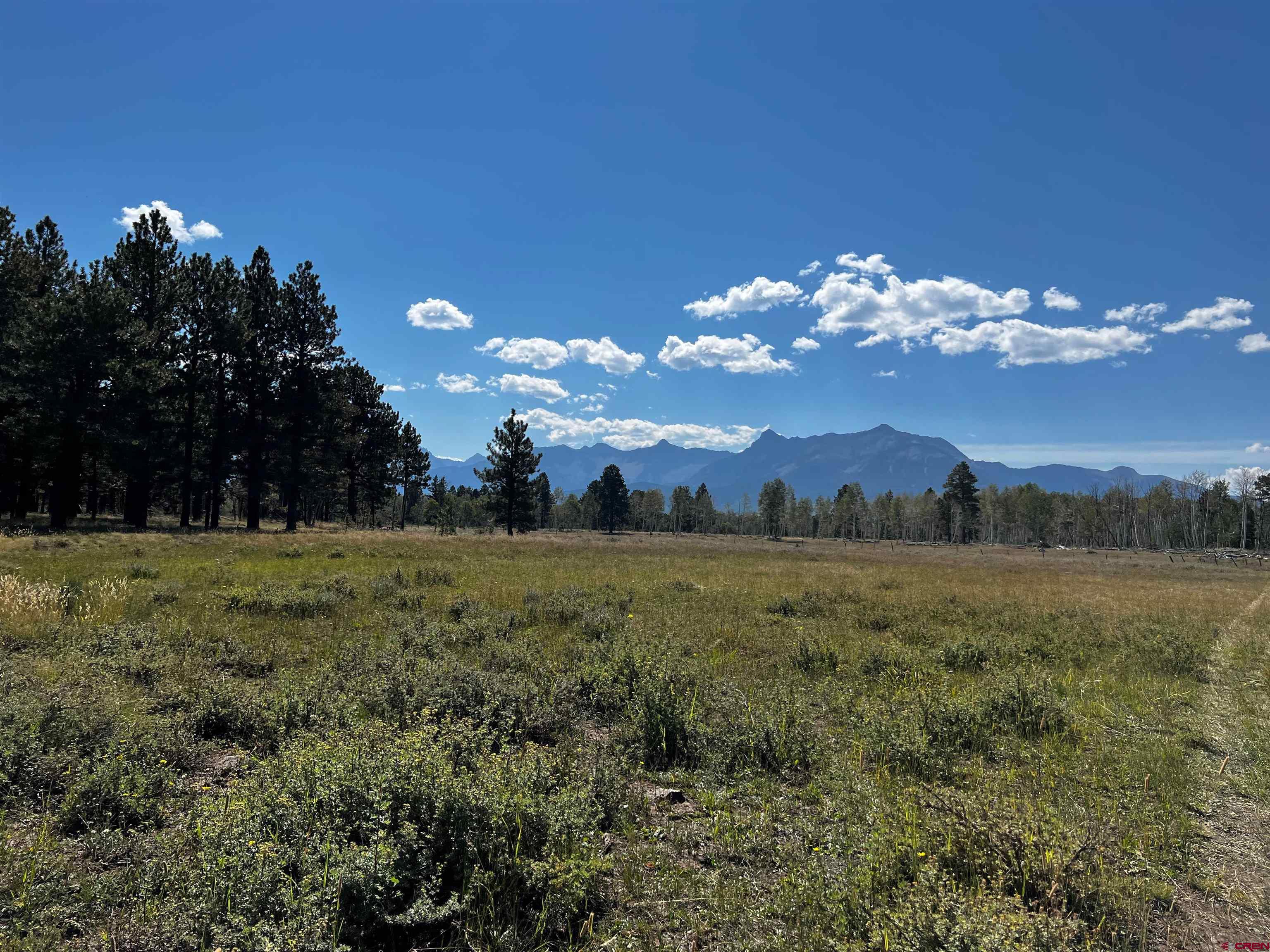 Situated in view of the majestic Sneffels Mountain Range, one of the most pristine alpine mesa sites offering the ultimate combination of privacy and beauty. This parcel is 161 acres comprised of 4- 40 acre quarter sections that can remain intact as a legacy parcel or be divided into 4 separate 40 acre parcels. The property is located roughly 30 miles from Telluride and 17 miles from Ridgway. Herds of elk, mule deer, hawks, and numerous other species frequent this parcel. Spectacular combination of mature pine and aspen forests with several spectacular meadows that open up to unparalleled views. Multiple areas on this parcel are highly suitable for home sites and/ or barns and other outbuildings. This is a rare opportunity for a spectacular parcel in a truly special corner of the world.