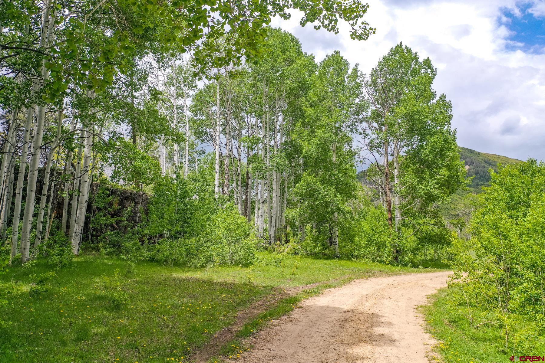Lot #7 Cottonwood Ranches Subdiv, Dolores, CO 81323 Listing Photo  13