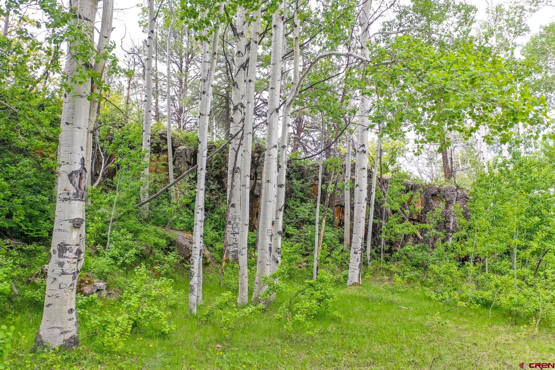 Lot #7 Cottonwood Ranches Subdiv, Dolores, CO 81323 Listing Photo  15