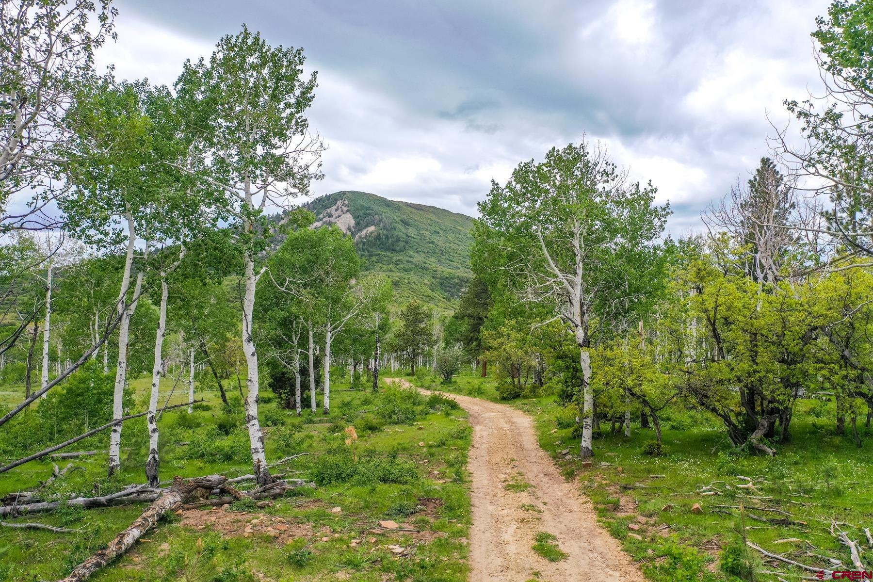 Lot #7 Cottonwood Ranches Subdiv, Dolores, CO 81323 Listing Photo  3