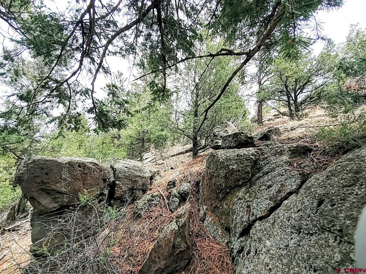 Photo of 61 Red Tail Ct in South Fork, CO