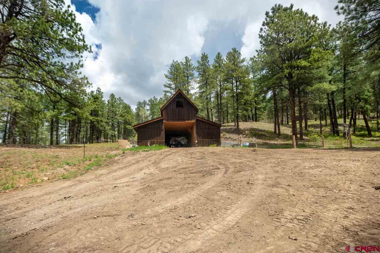 2973 County Road 326, Pagosa Springs, CO 81147 Listing Photo  29