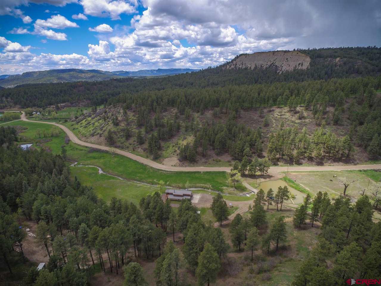2973 County Road 326, Pagosa Springs, CO 81147 Listing Photo  34