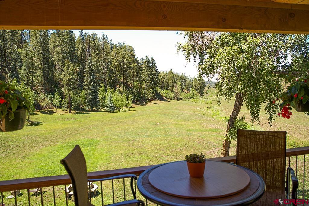2973 County Road 326, Pagosa Springs, CO 81147 Listing Photo  6