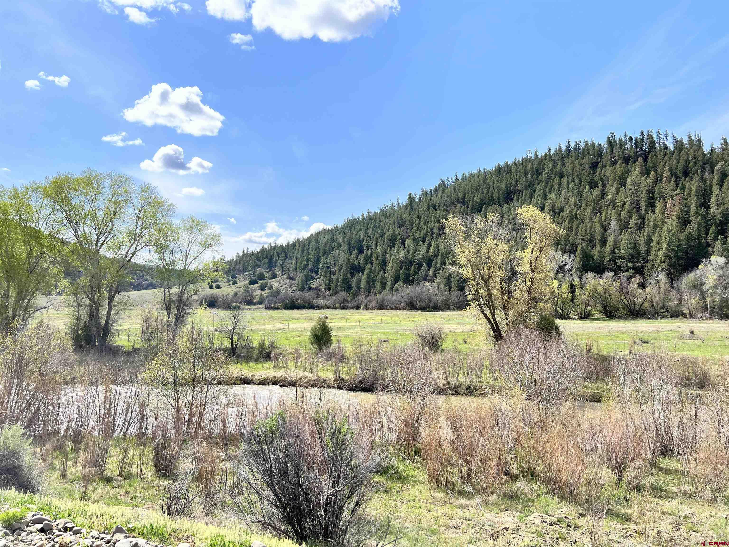tbd County Road 551, Pagosa Springs, CO 
