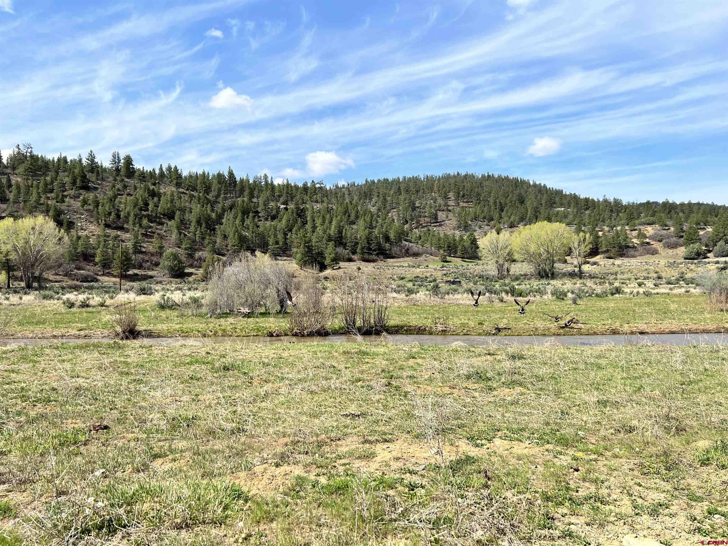 tbd County Road 551, Pagosa Springs, CO 81147 Listing Photo  2