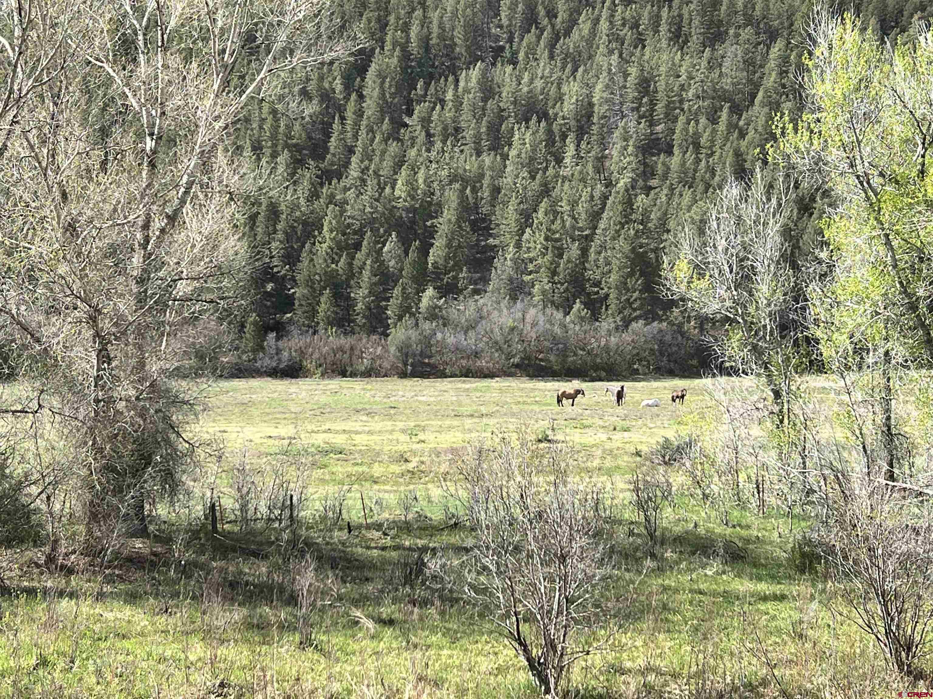 tbd County Road 551, Pagosa Springs, CO 81147 Listing Photo  4