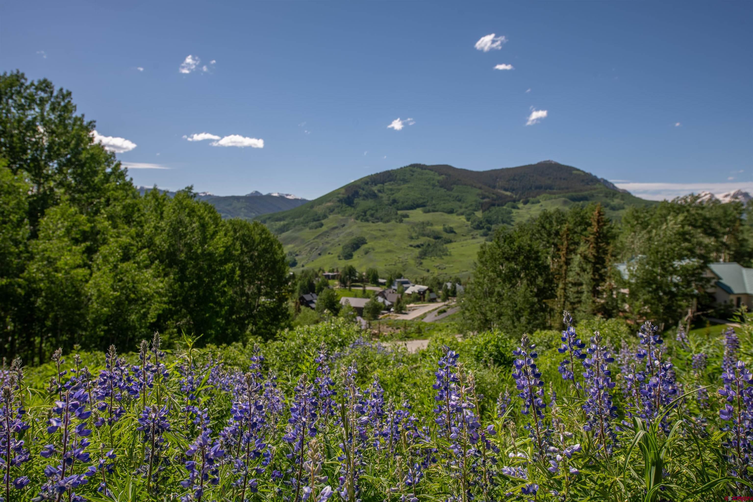 92 Anthracite Road, Mt. Crested Butte, CO 