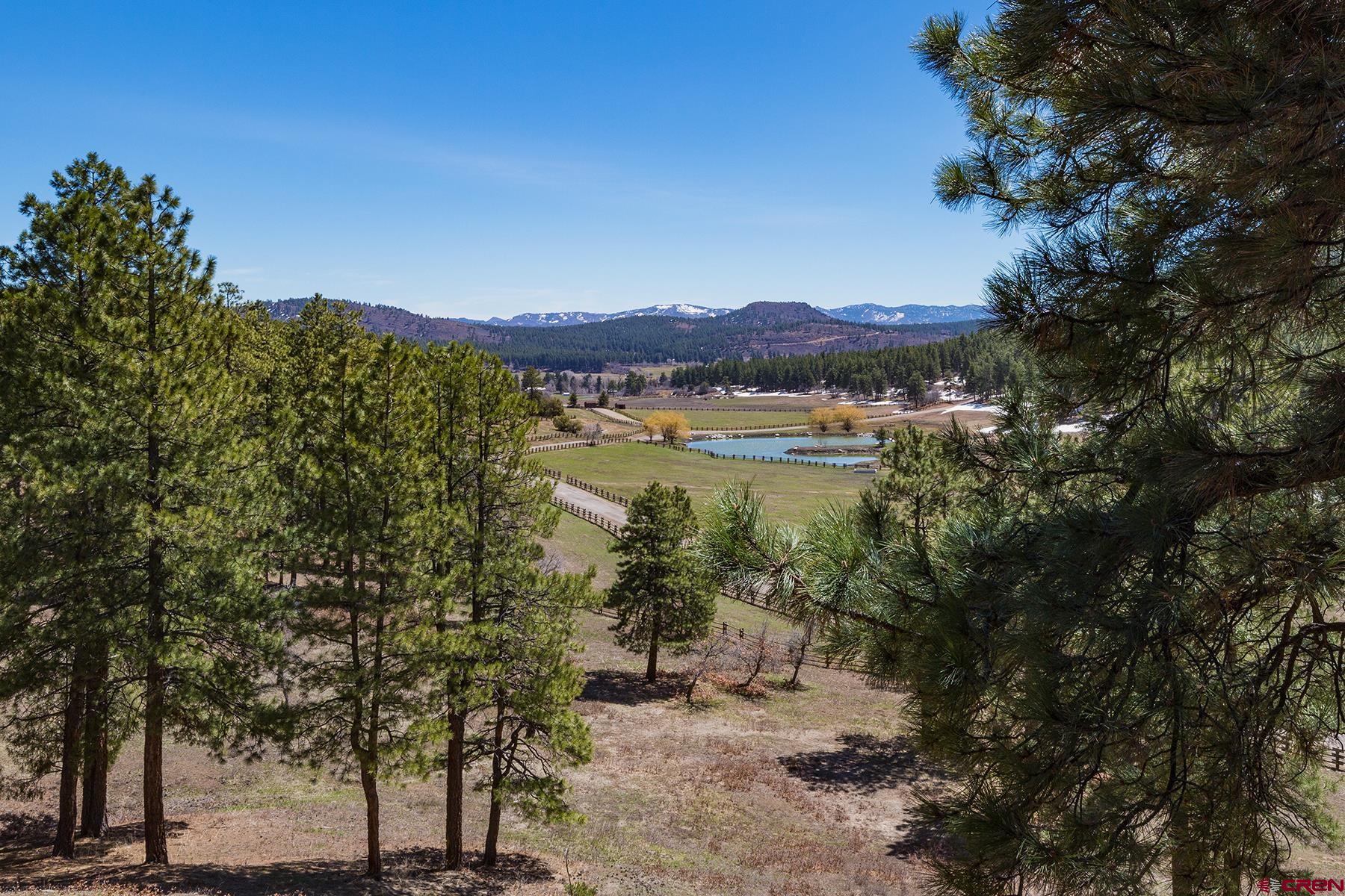 2500 County Road 505, Bayfield, CO 81122 Listing Photo  17