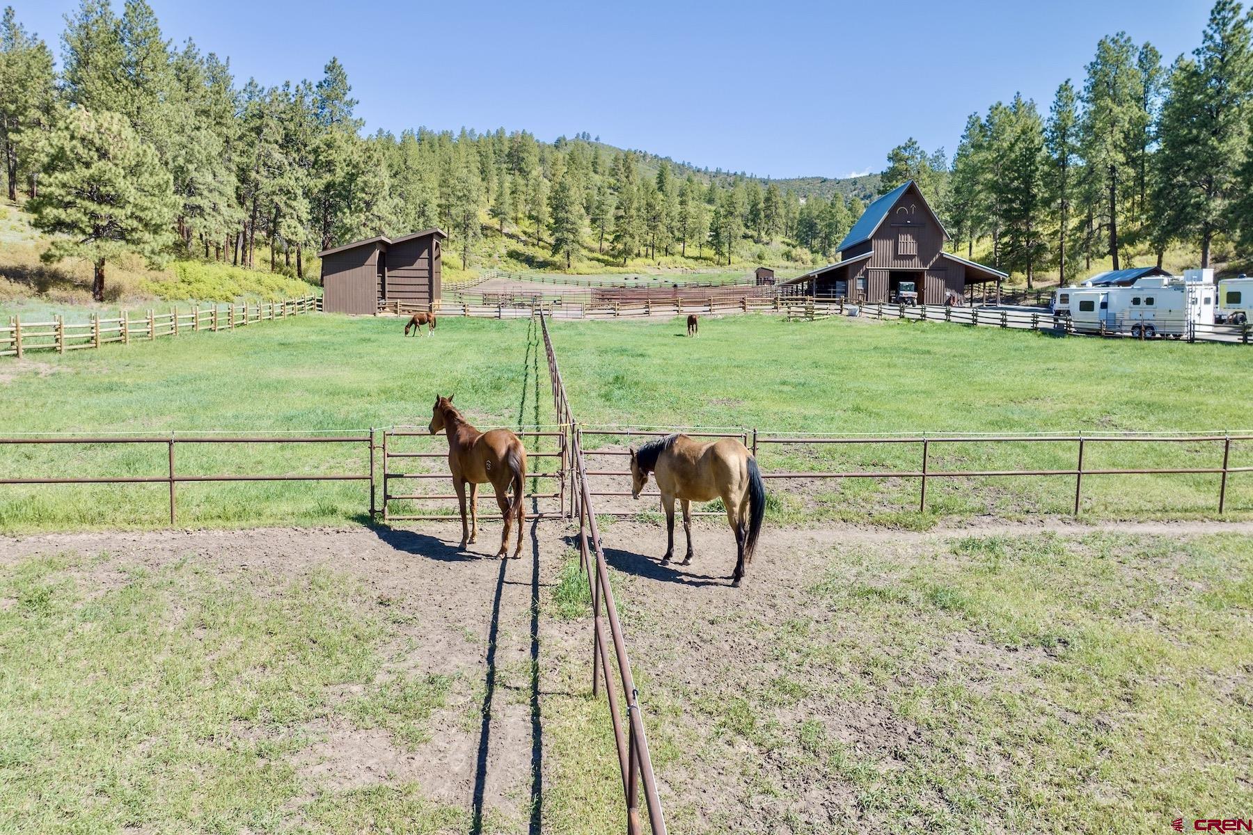 2500 County Road 505, Bayfield, CO 81122 Listing Photo  31