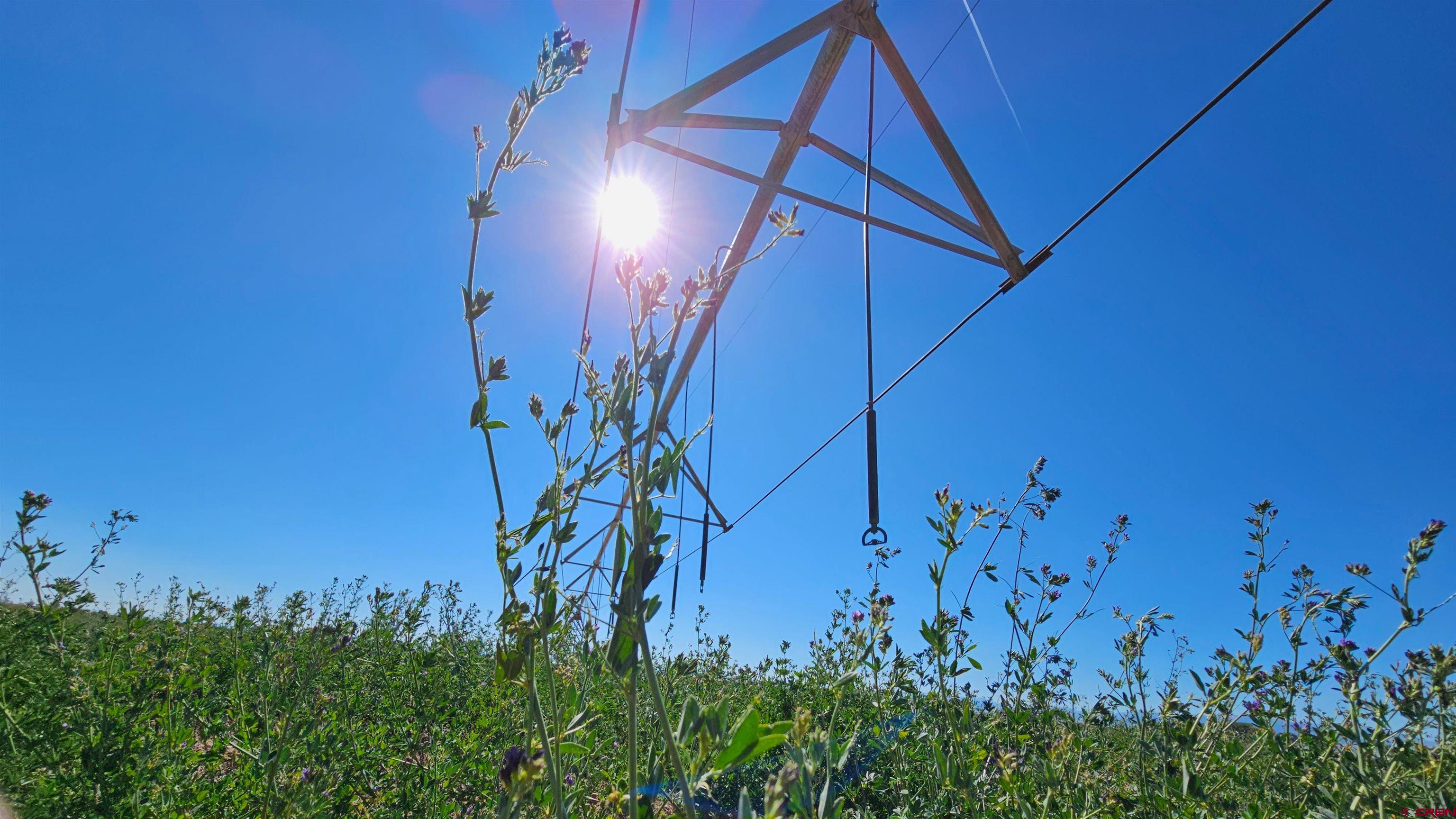 Photo of 5299 County Rd 12 S in Alamosa, CO