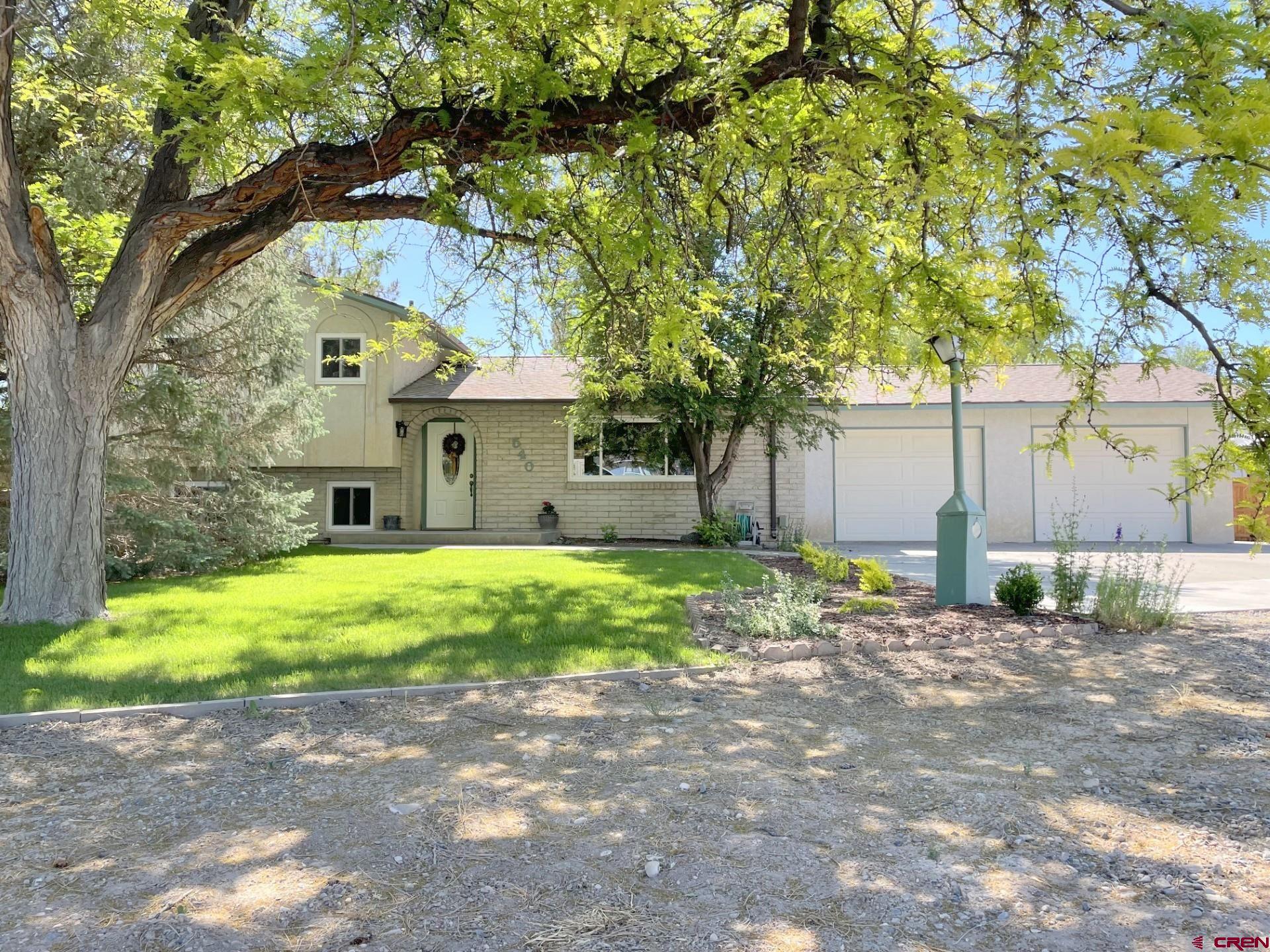 540 Willow Wood Lane, Delta, CO 81416