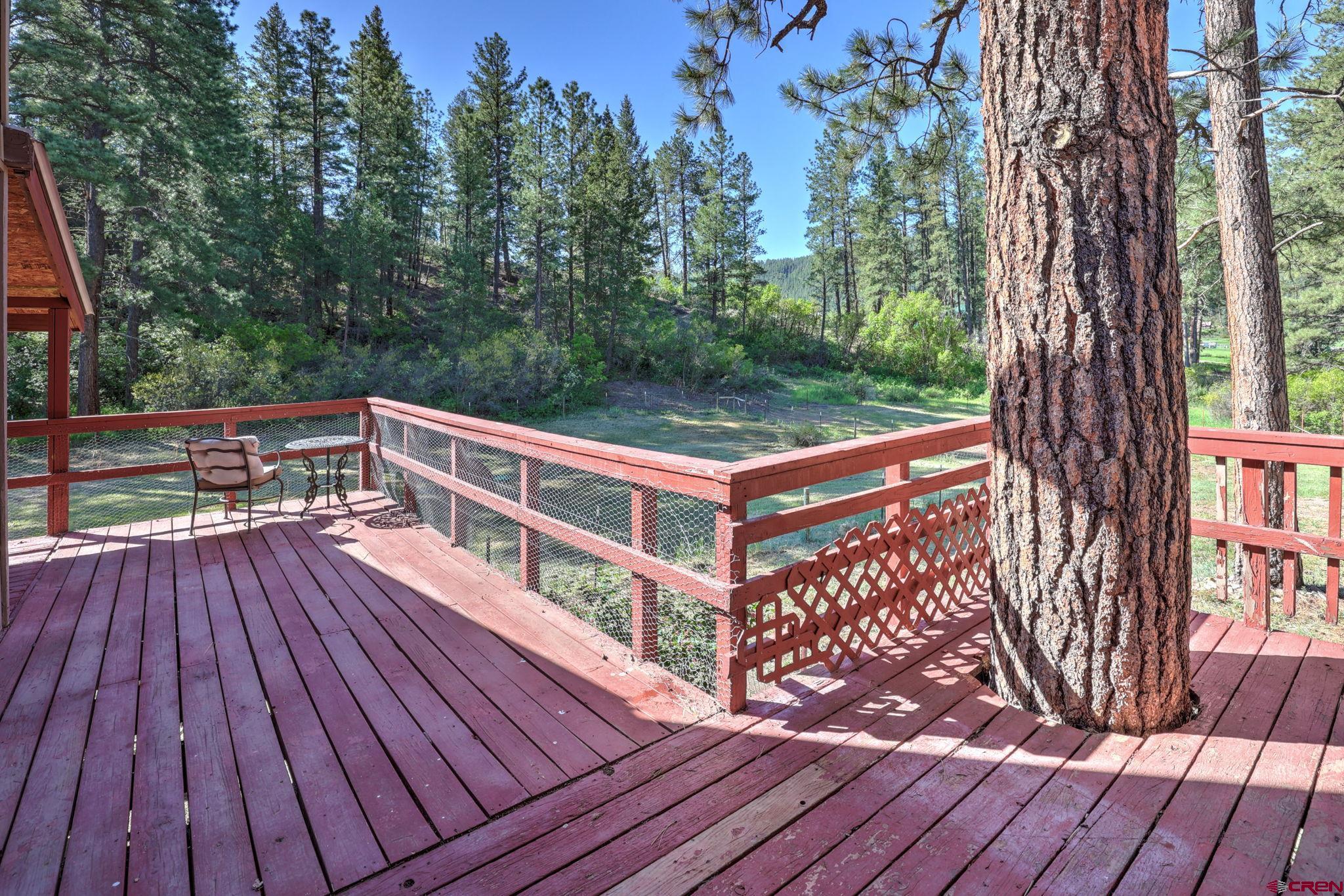 143 Oldham's Place, Pagosa Springs, CO 81147 Listing Photo  3