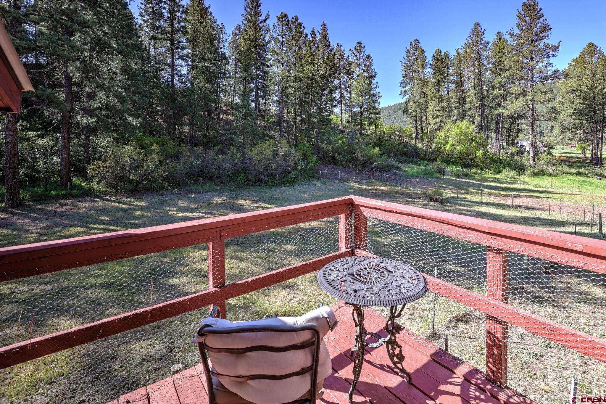 143 Oldham's Place, Pagosa Springs, CO 81147 Listing Photo  23