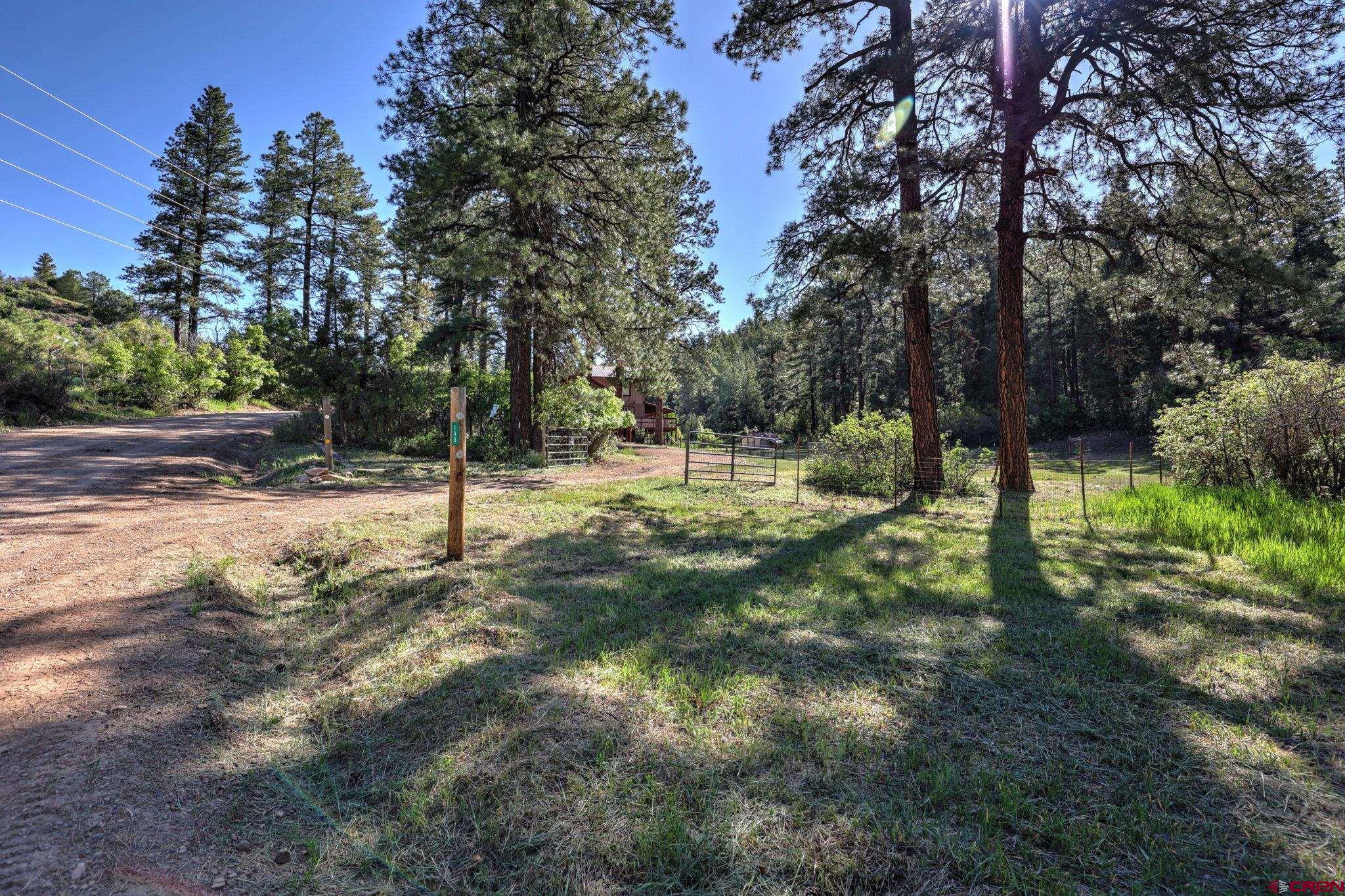 143 Oldham's Place, Pagosa Springs, CO 81147 Listing Photo  24