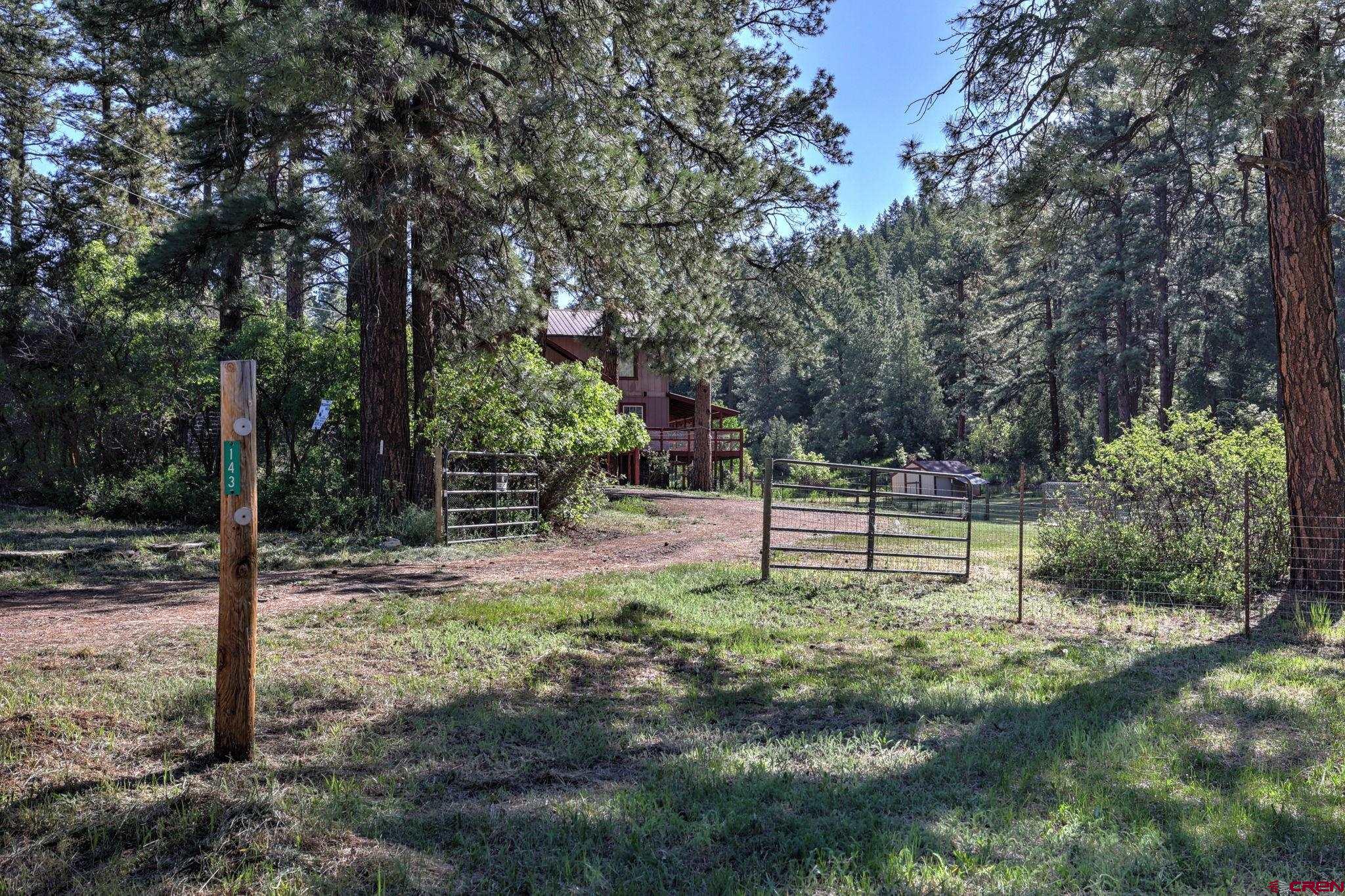 143 Oldham's Place, Pagosa Springs, CO 81147 Listing Photo  26