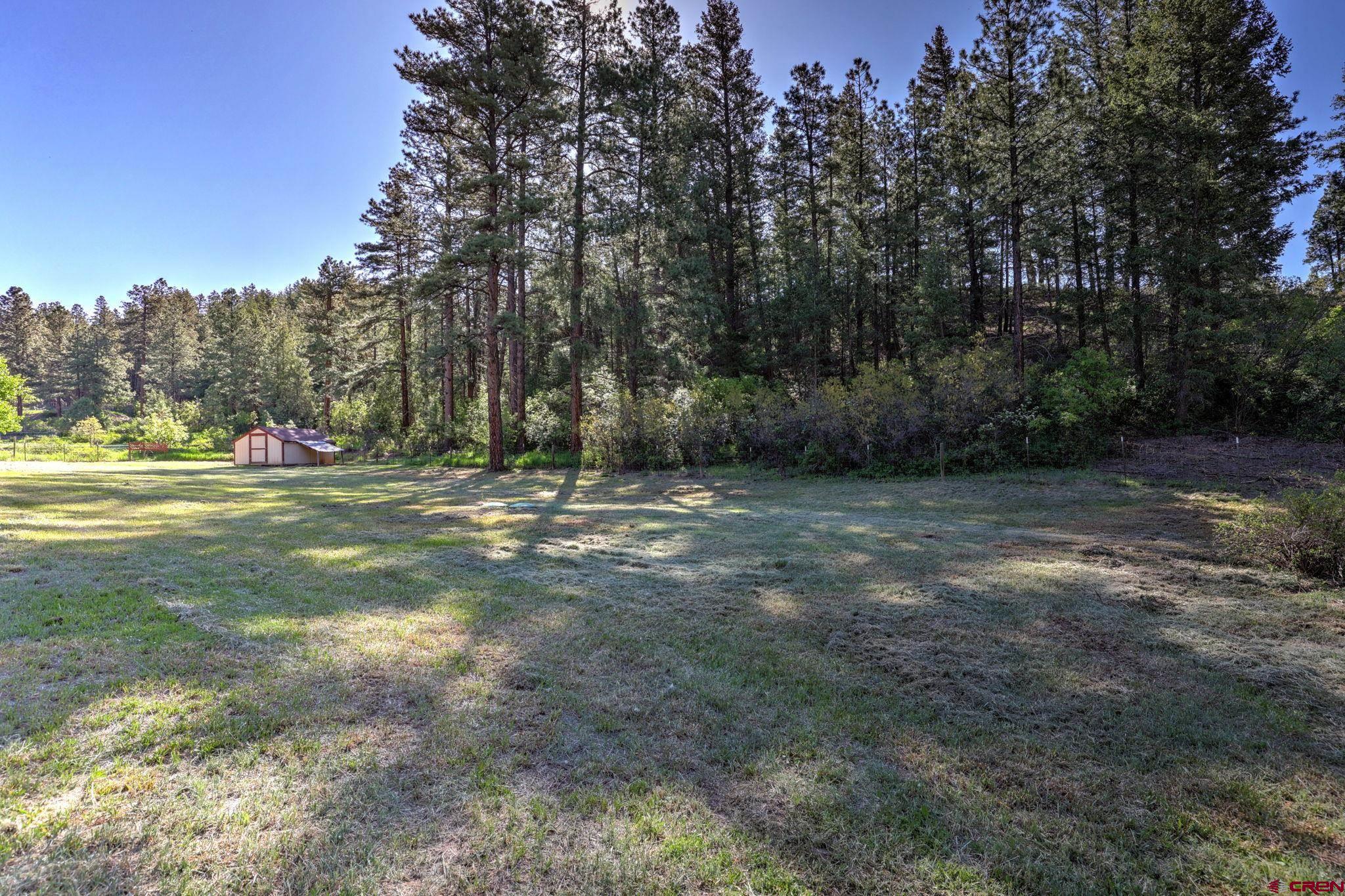 143 Oldham's Place, Pagosa Springs, CO 81147 Listing Photo  33