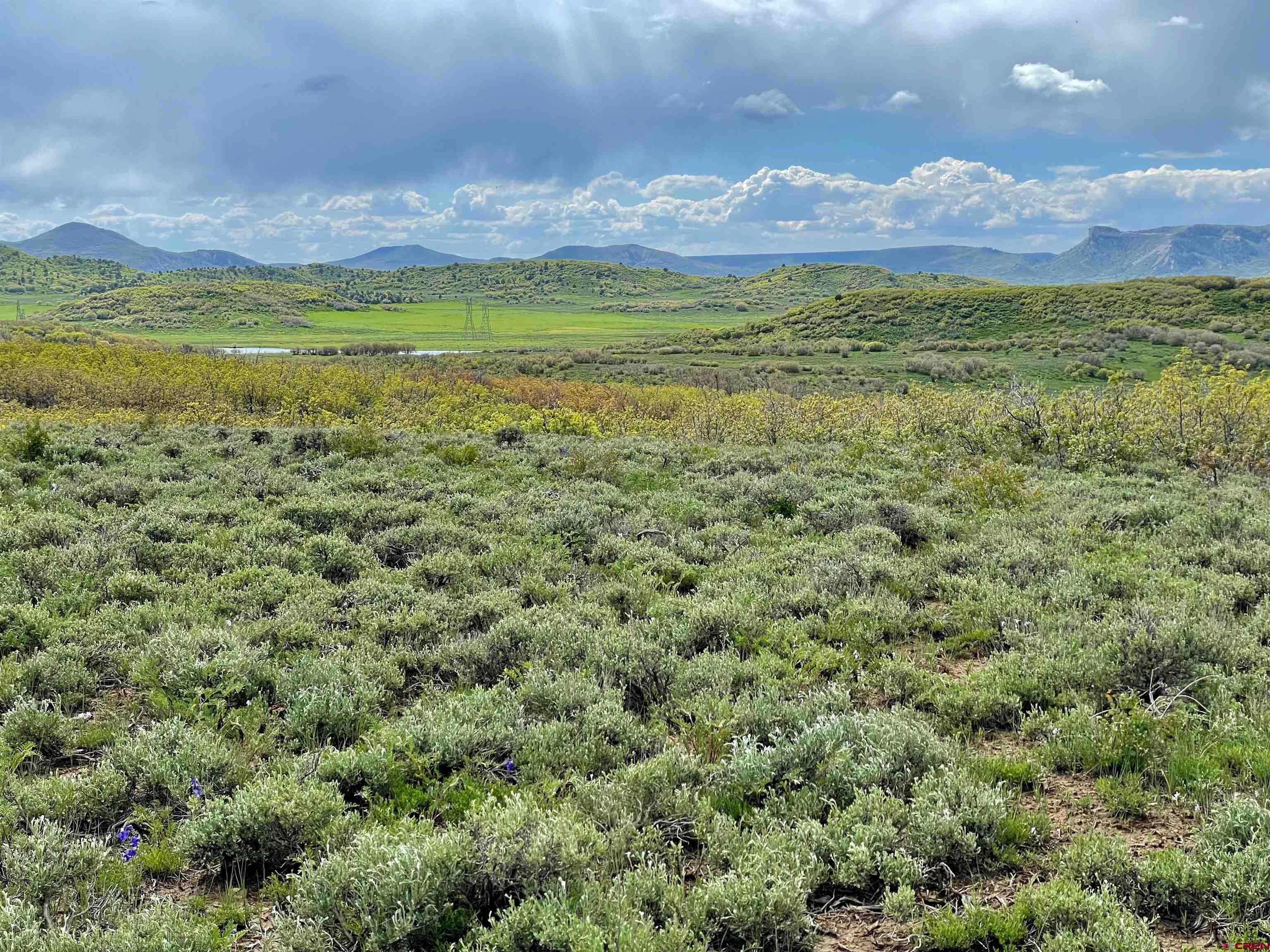 Lot 18 Road M.5 Dolores CO 81323 Active