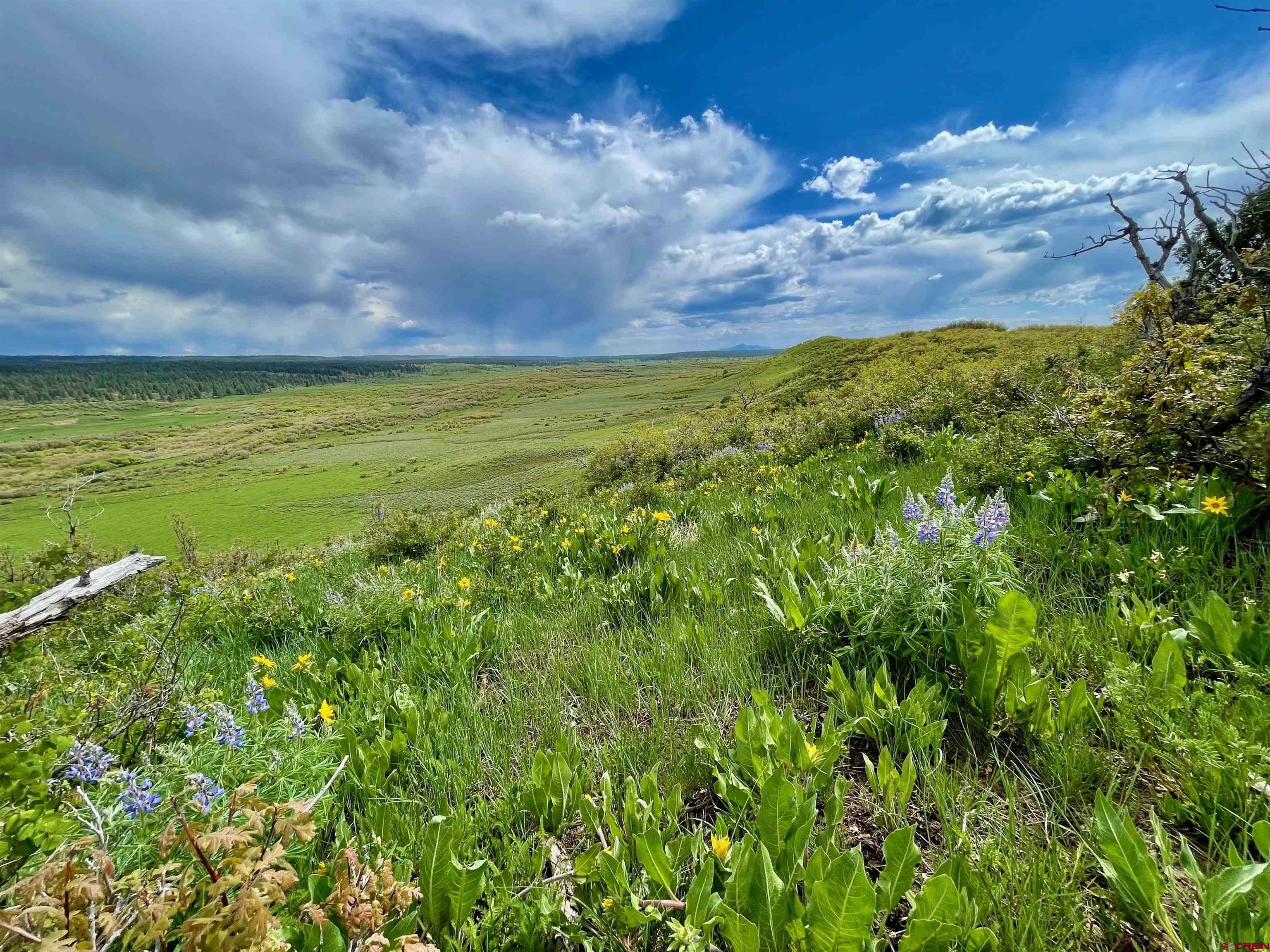 Lot 18 Road M.5 Dolores CO 81323 Active