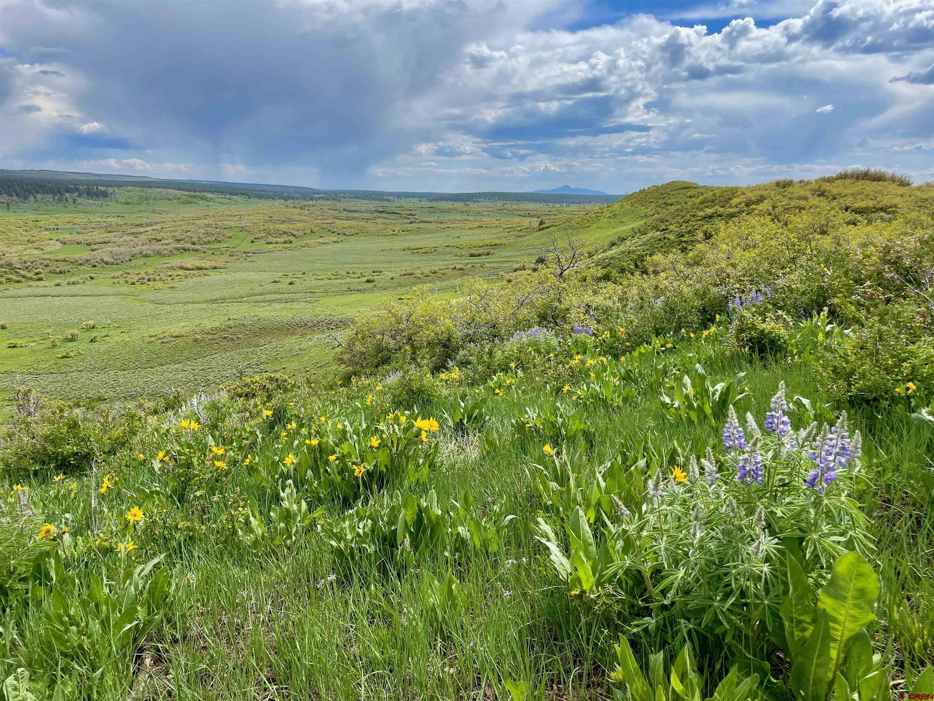 Lot 18 Road M.5 Dolores CO 81323 Active