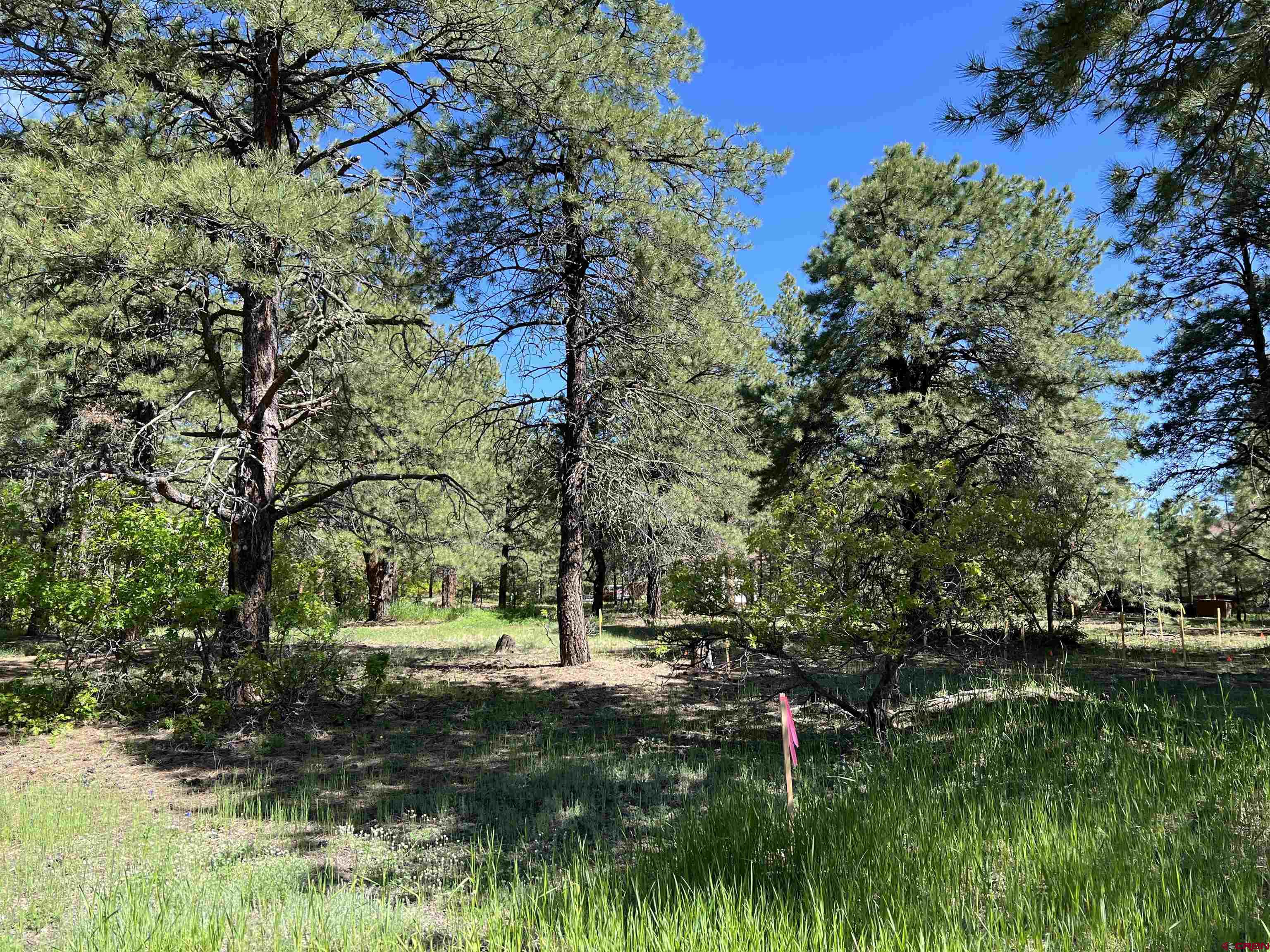 Photo of 39 W Nebo Ct in Pagosa Springs, CO