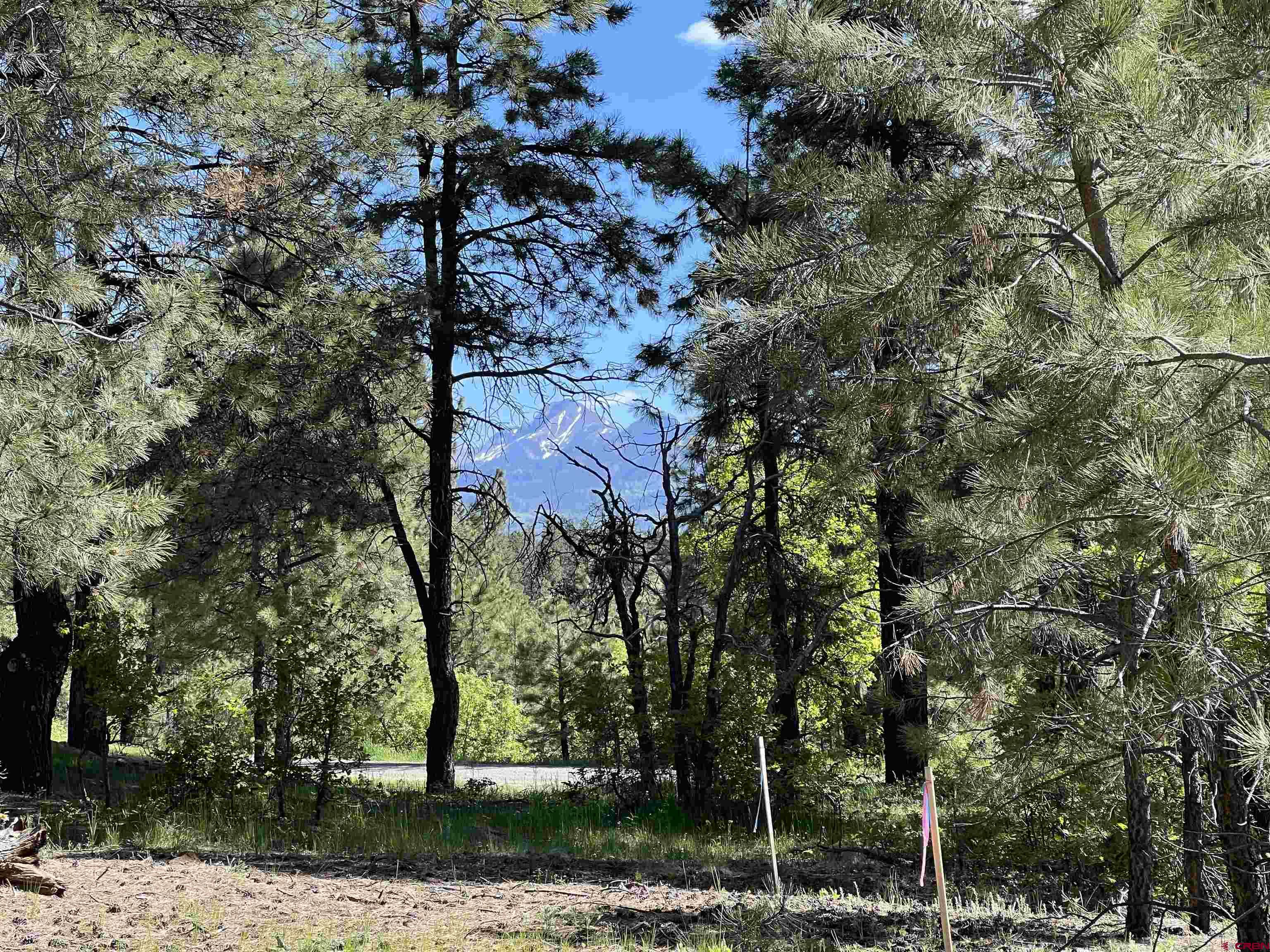 39 W Nebo Court, Pagosa Springs, CO 81147 Listing Photo  4
