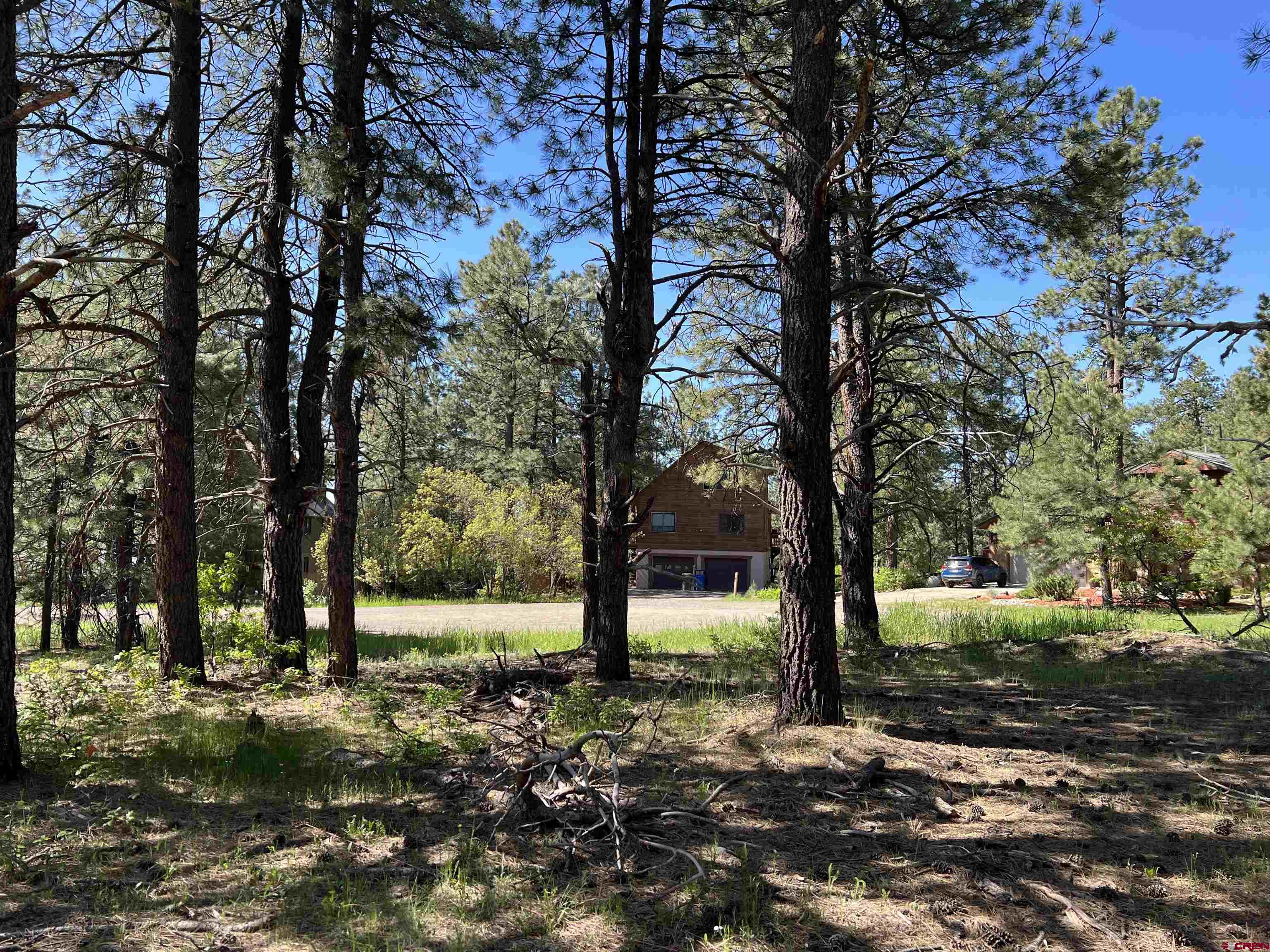39 W Nebo Court, Pagosa Springs, CO 81147 Listing Photo  7