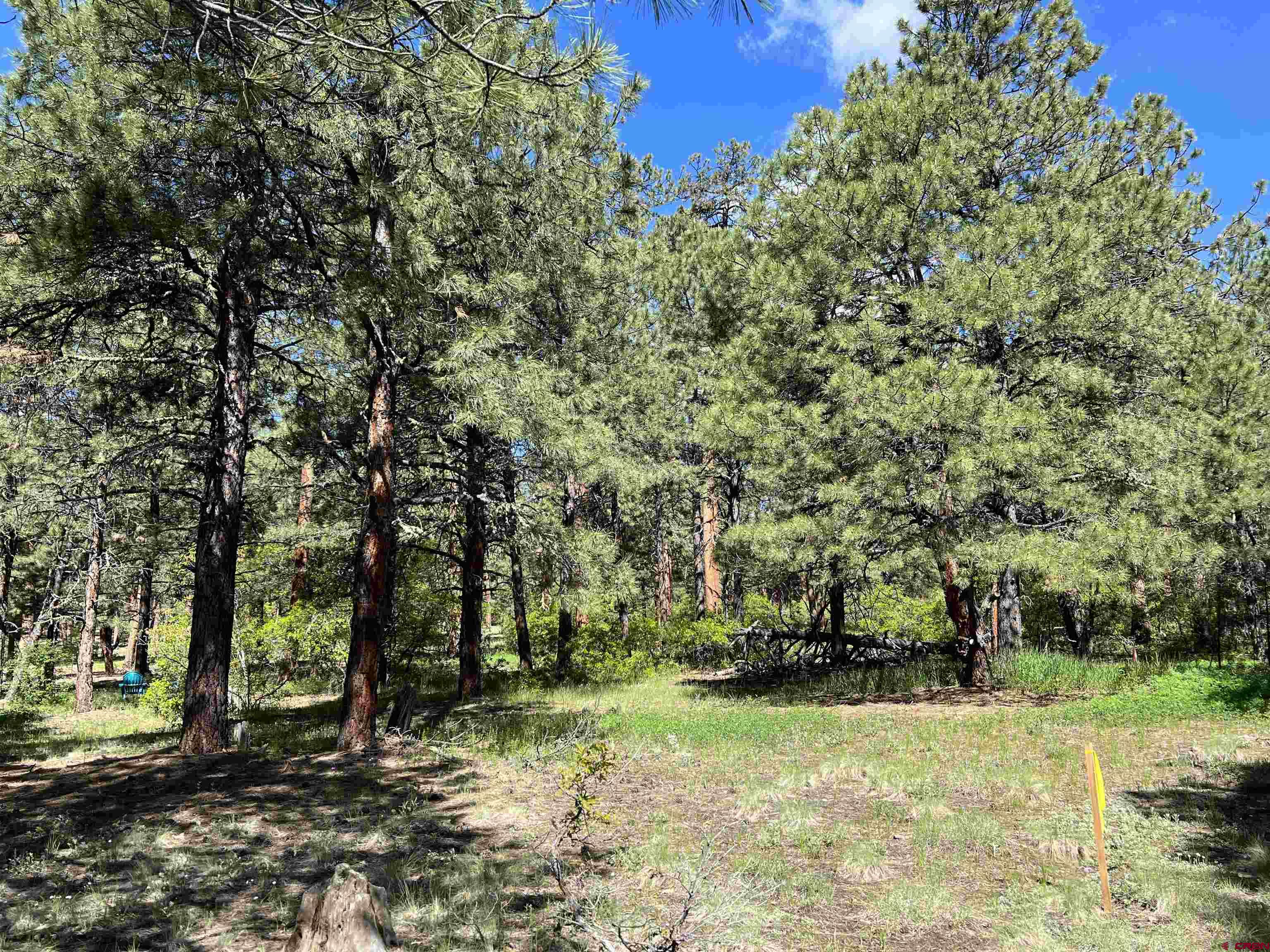 39 W Nebo Court, Pagosa Springs, CO 81147 Listing Photo  8