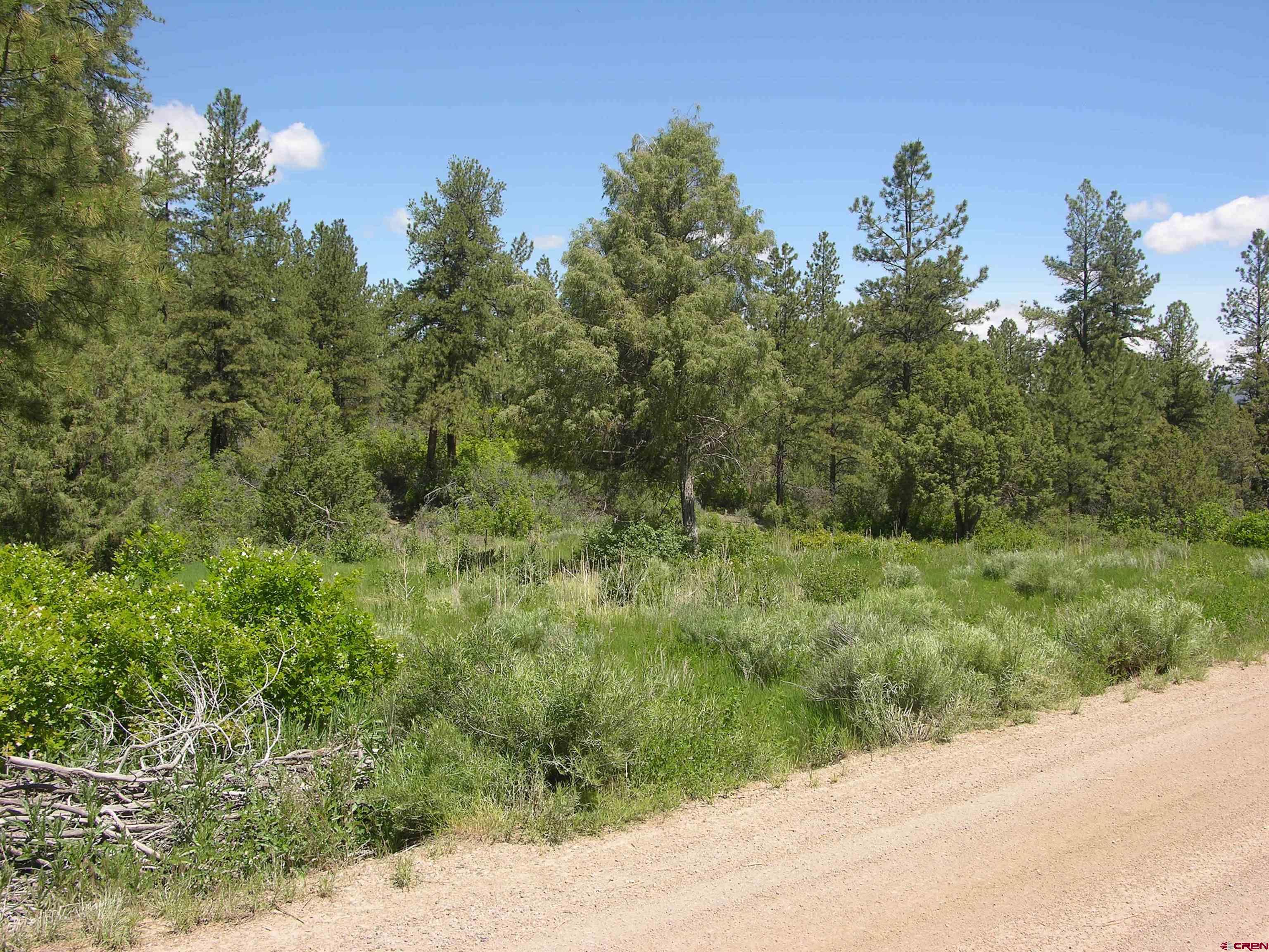 1859 County Road 917, Pagosa Springs, CO 81147 Listing Photo  1