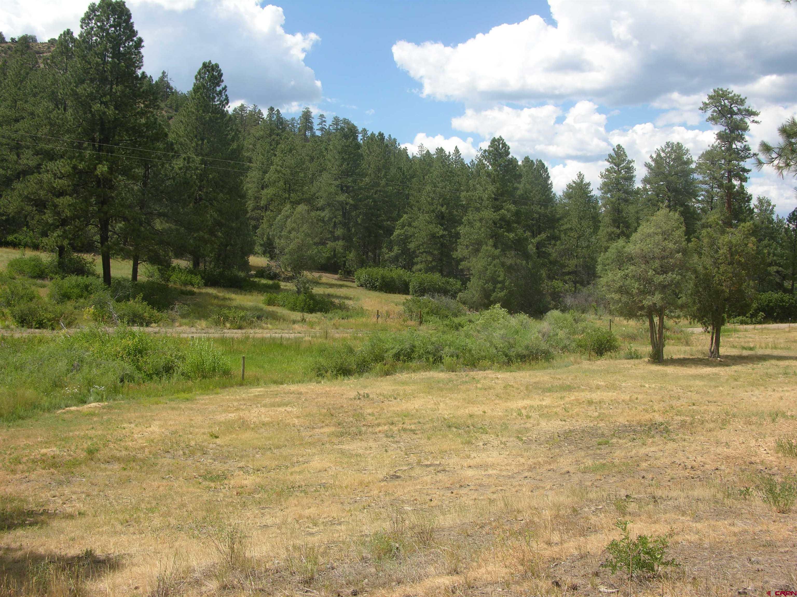 1859 County Road 917, Pagosa Springs, CO 81147 Listing Photo  11