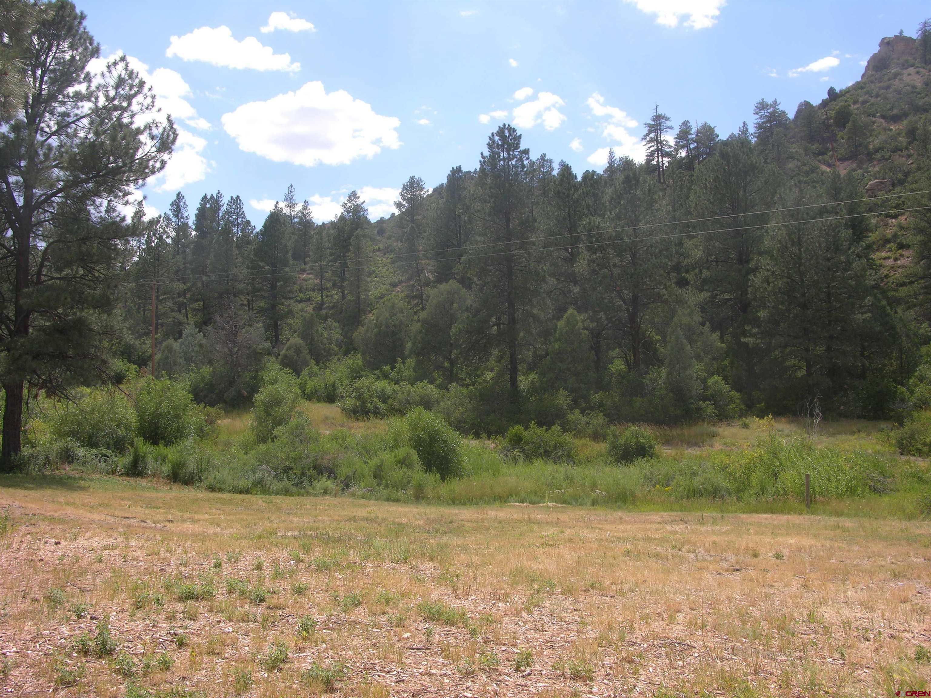 1859 County Road 917, Pagosa Springs, CO 81147 Listing Photo  12