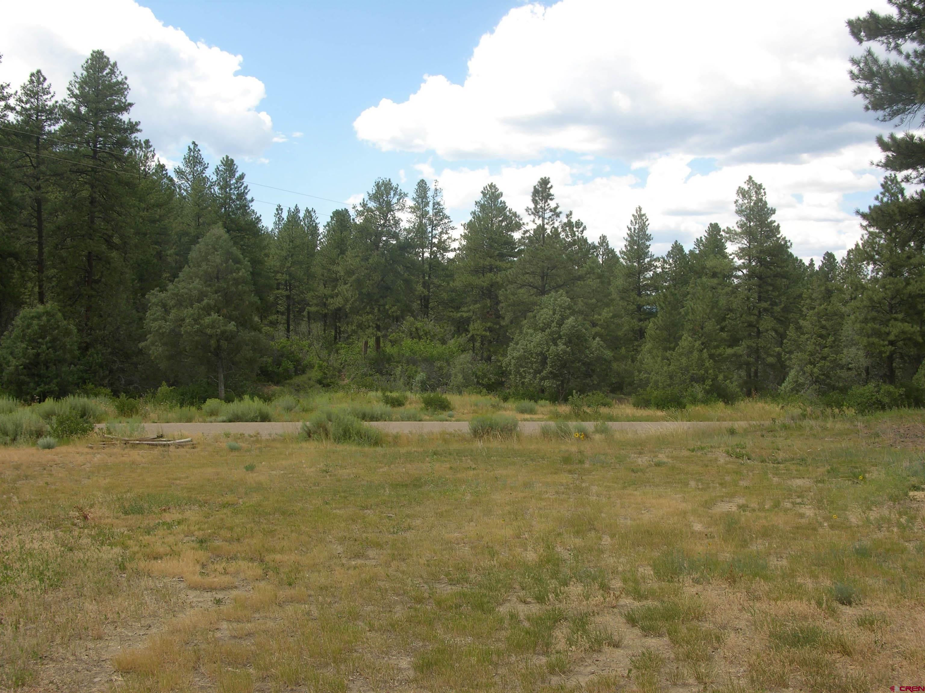 1859 County Road 917, Pagosa Springs, CO 81147 Listing Photo  15
