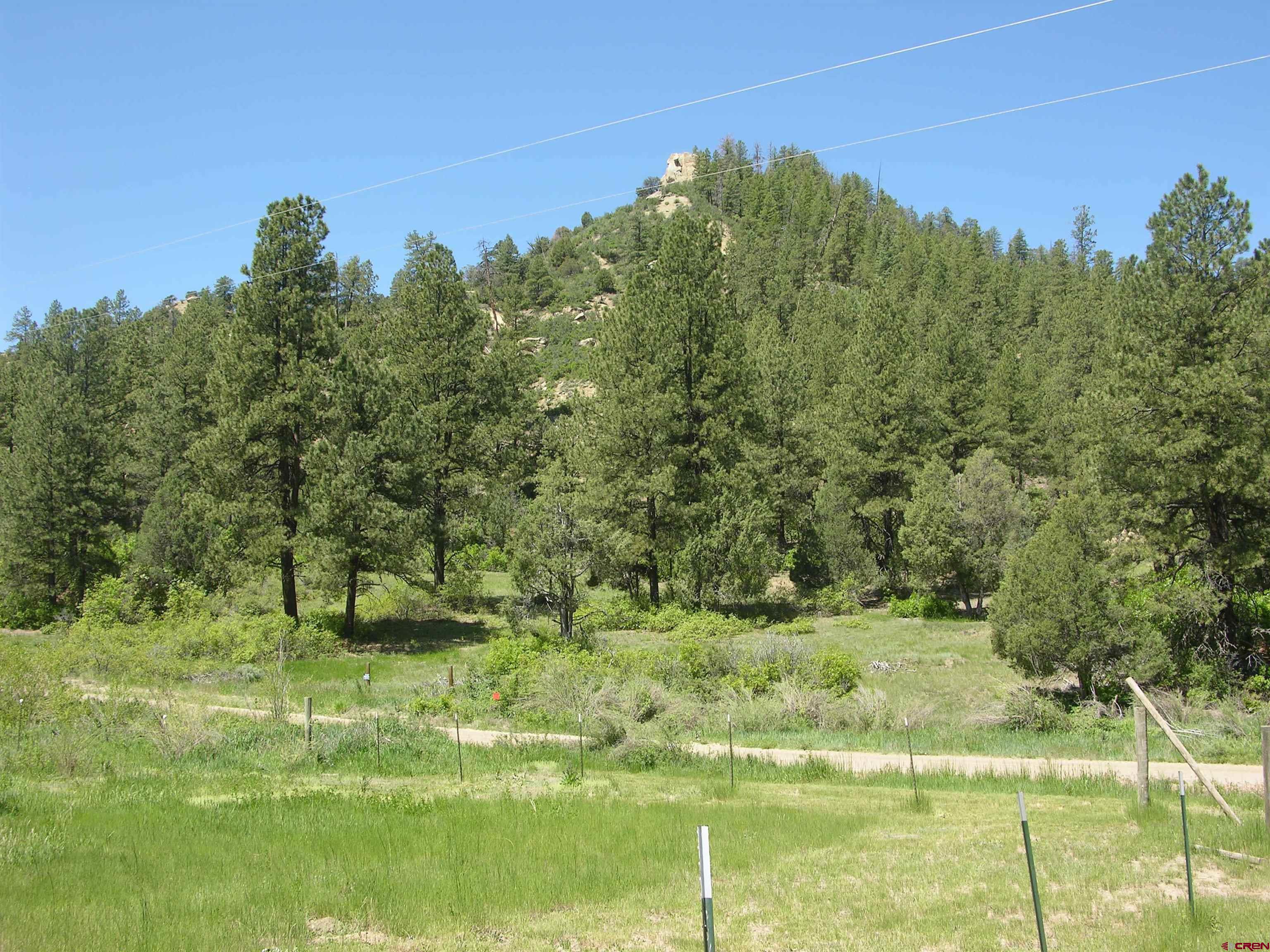 1859 County Road 917, Pagosa Springs, CO 81147 Listing Photo  3