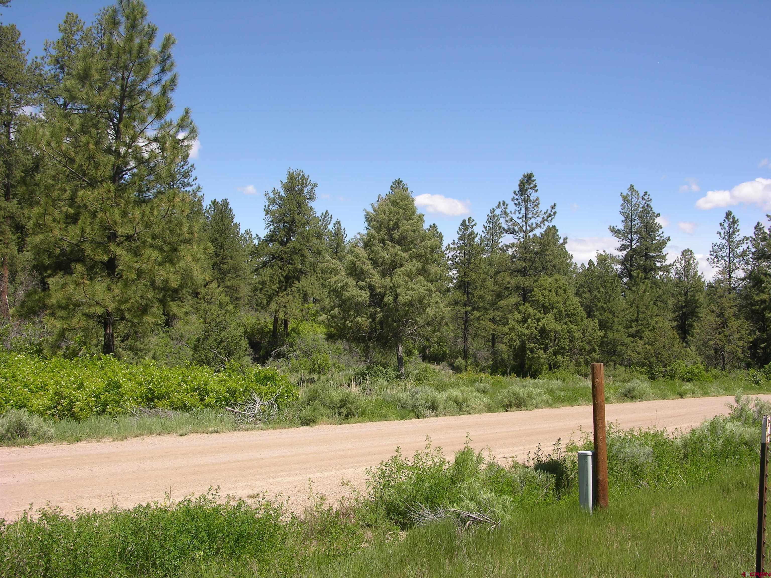 1859 County Road 917, Pagosa Springs, CO 81147 Listing Photo  4