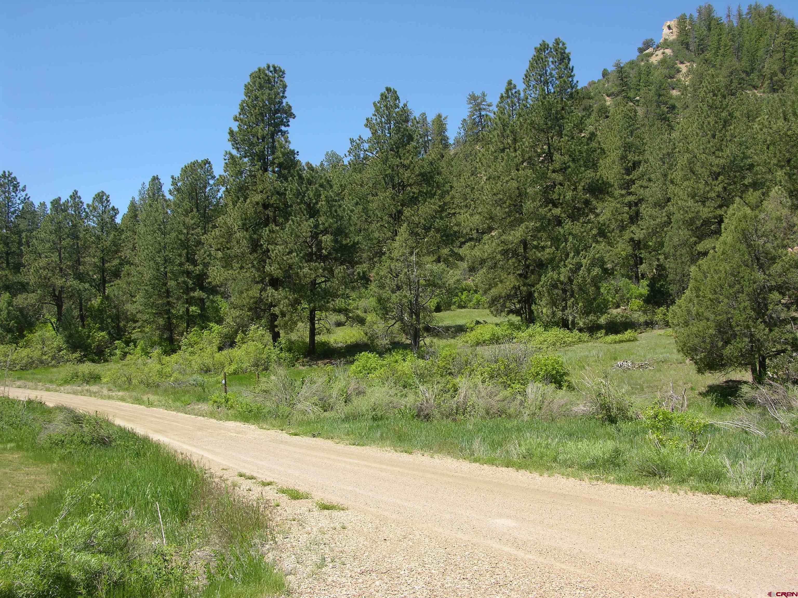 1859 County Road 917, Pagosa Springs, CO 81147 Listing Photo  5