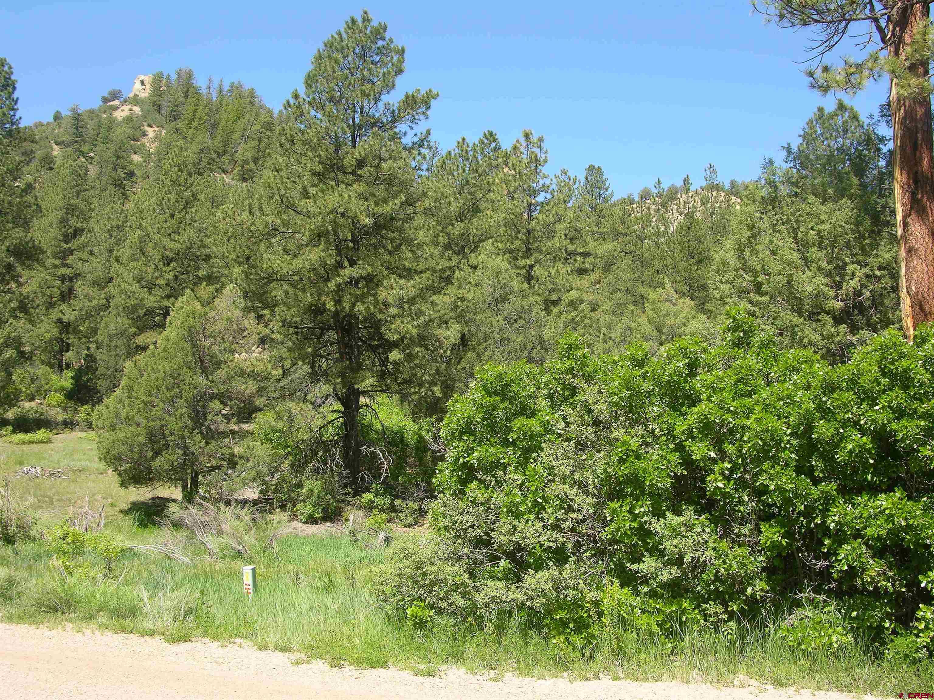 1859 County Road 917, Pagosa Springs, CO 81147 Listing Photo  6
