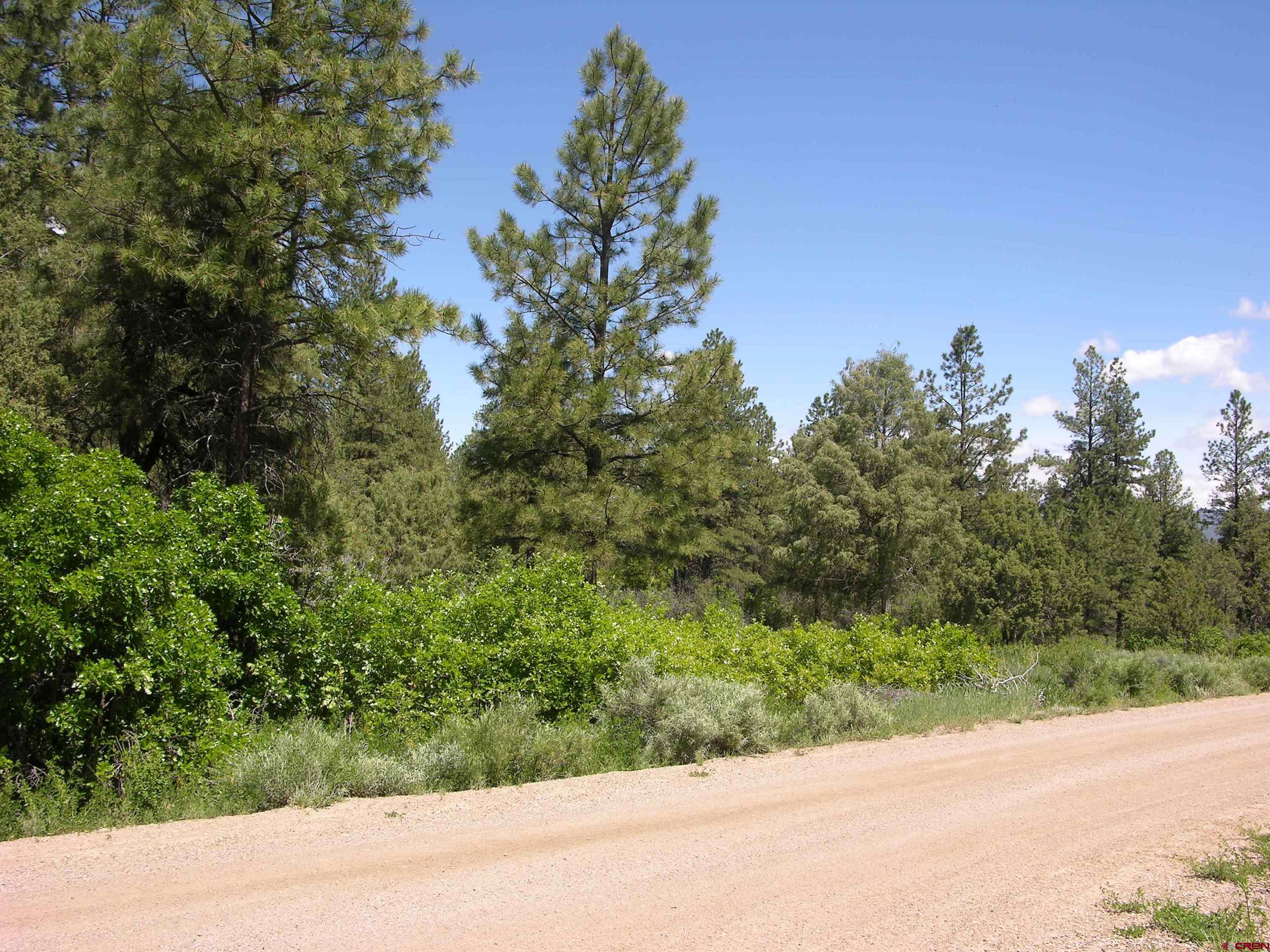 1859 County Road 917, Pagosa Springs, CO 81147 Listing Photo  7