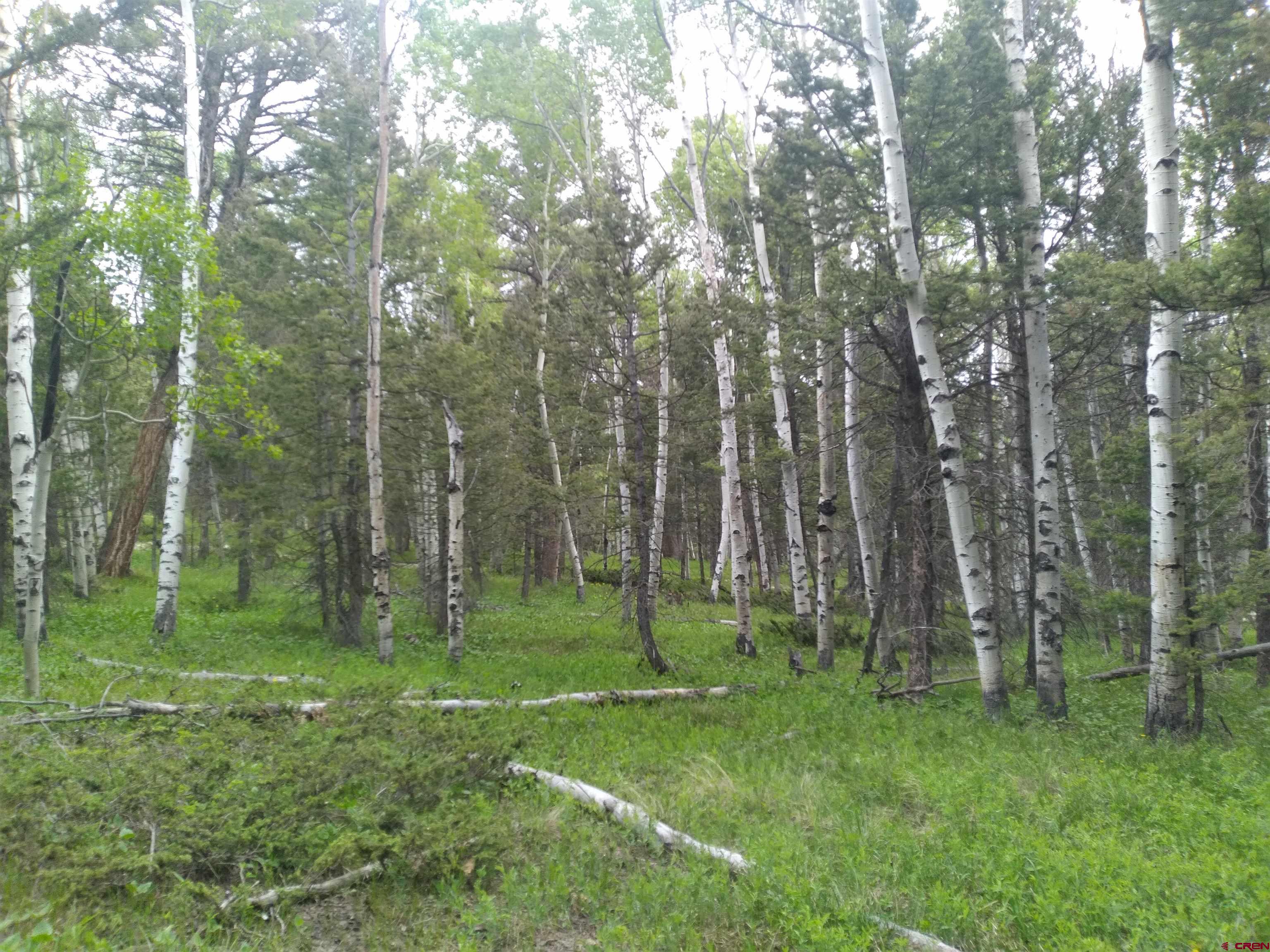 Arrowhead Mountain Homes for Sale, Arrowhead Mountain Lots for Sale