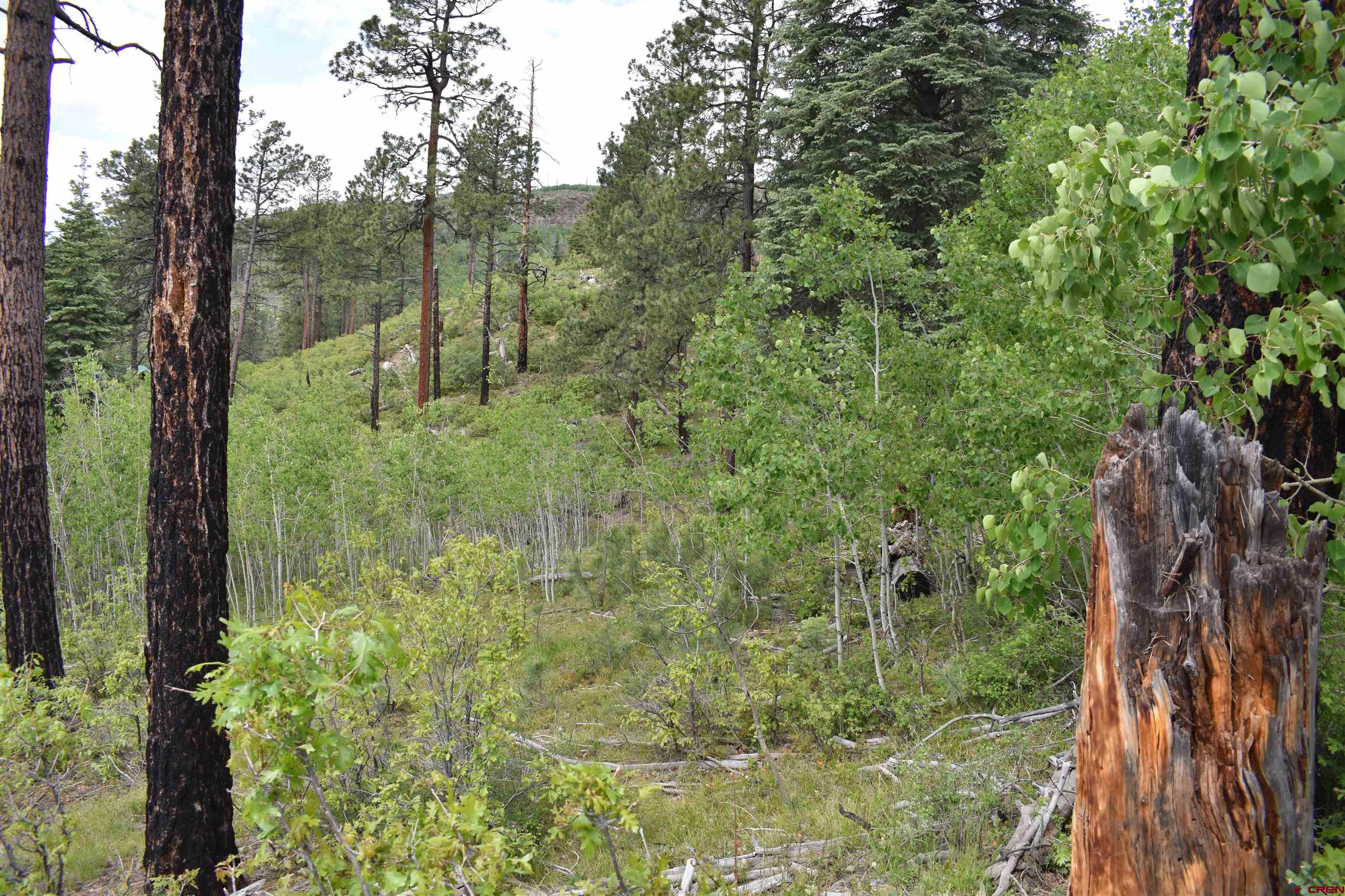 Photo of Lot 17 Lake View Dr in Vallecito Lake-Bayfield, CO