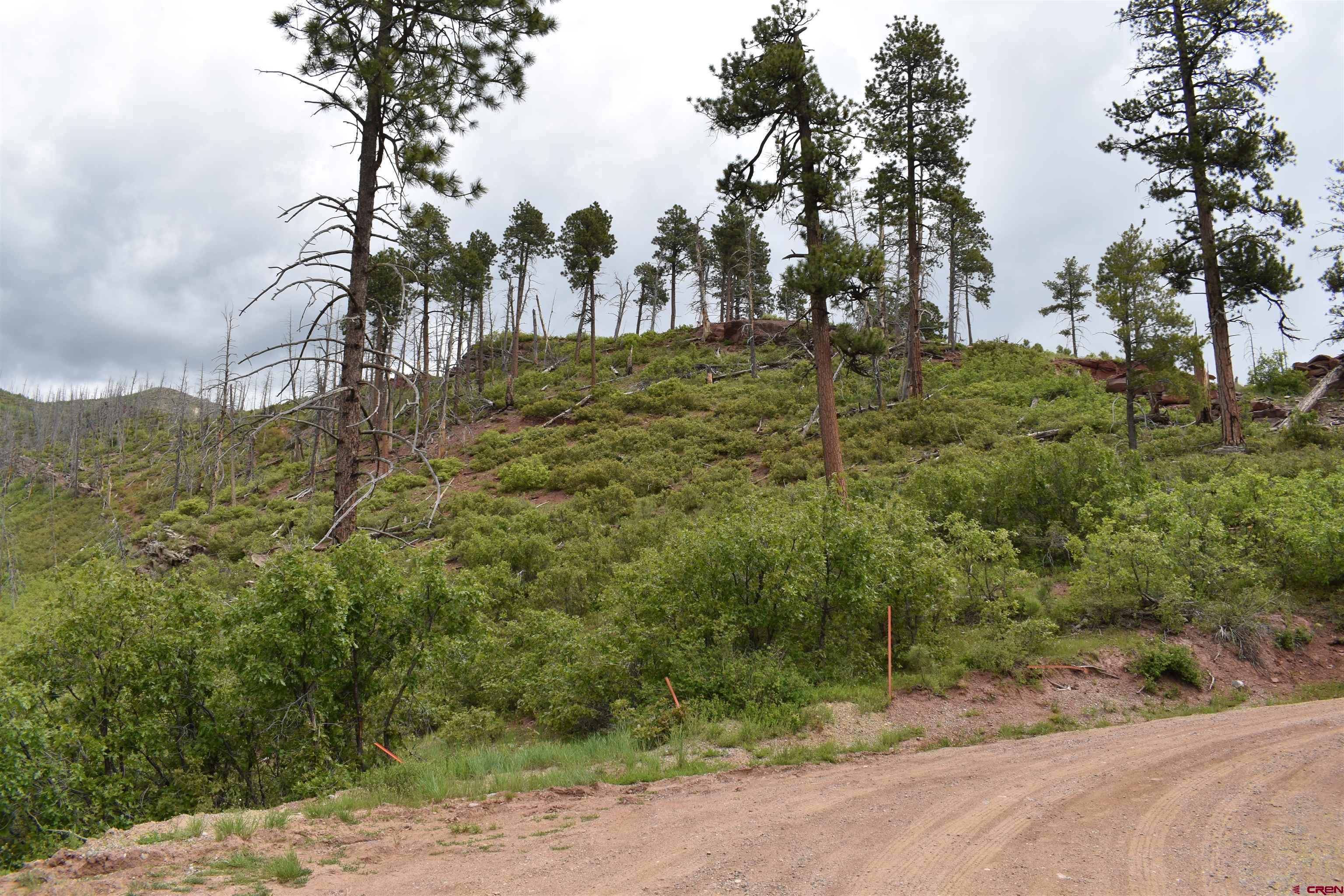 Photo of Lot 23 Lake View Dr in Vallecito Lake-Bayfield, CO