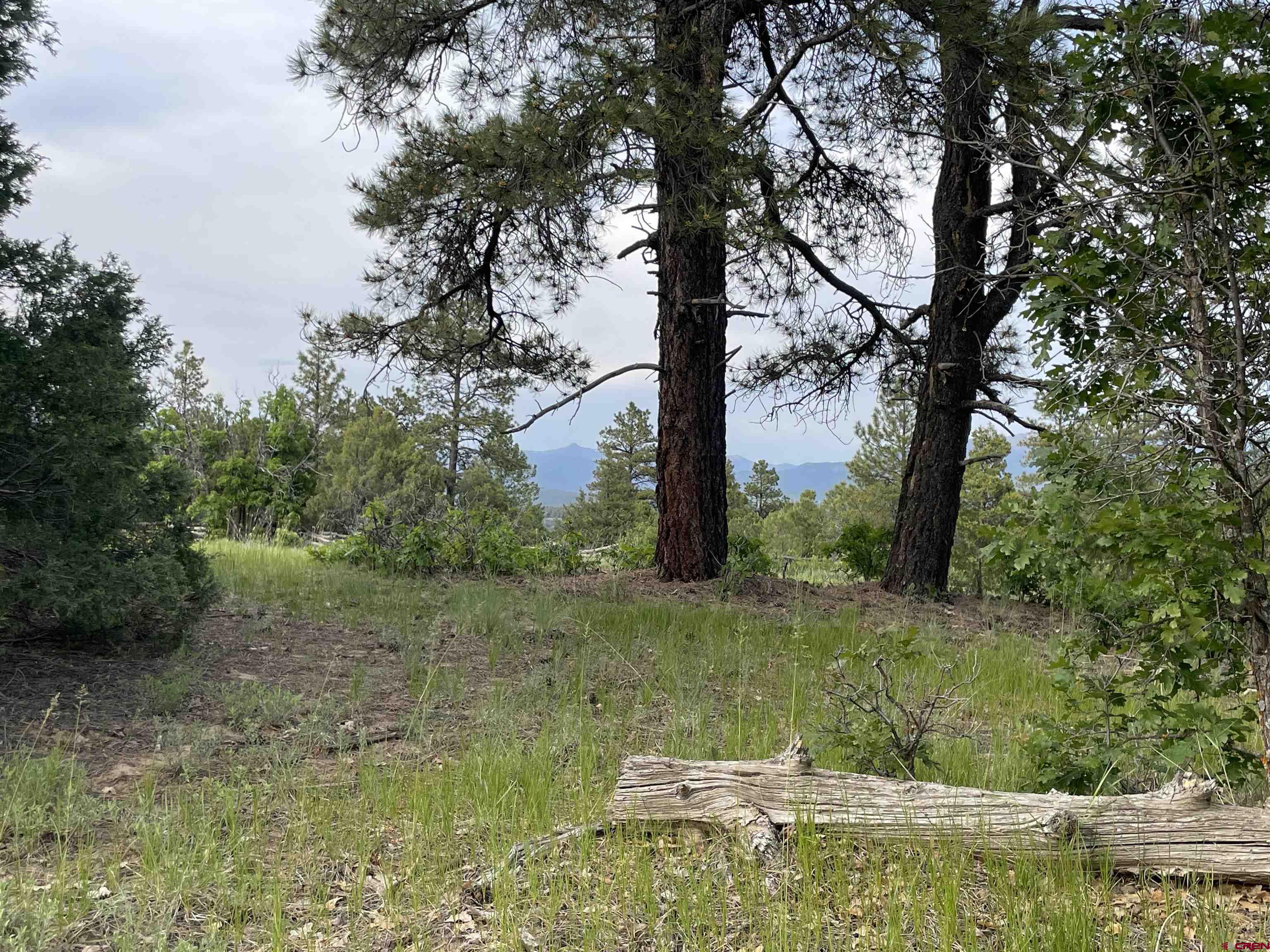 Photo of 2721 S Pagosa Blvd in Pagosa Springs, CO