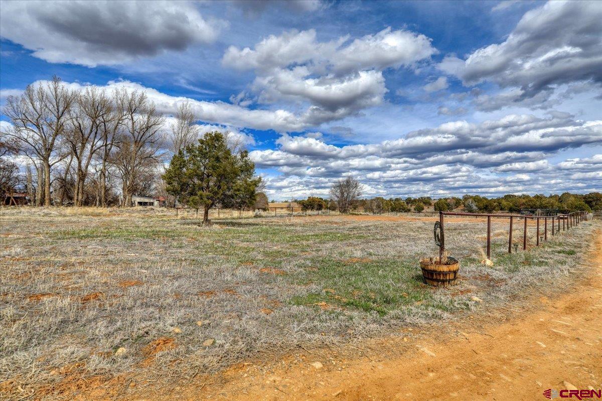 12 CR 103A Road, Red Mesa, CO 81326 Listing Photo  26