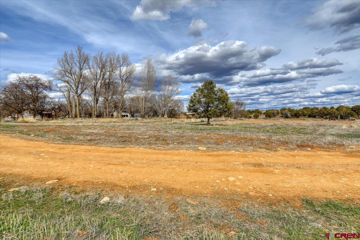 12 CR 103A Road, Red Mesa, CO 81326 Listing Photo  28